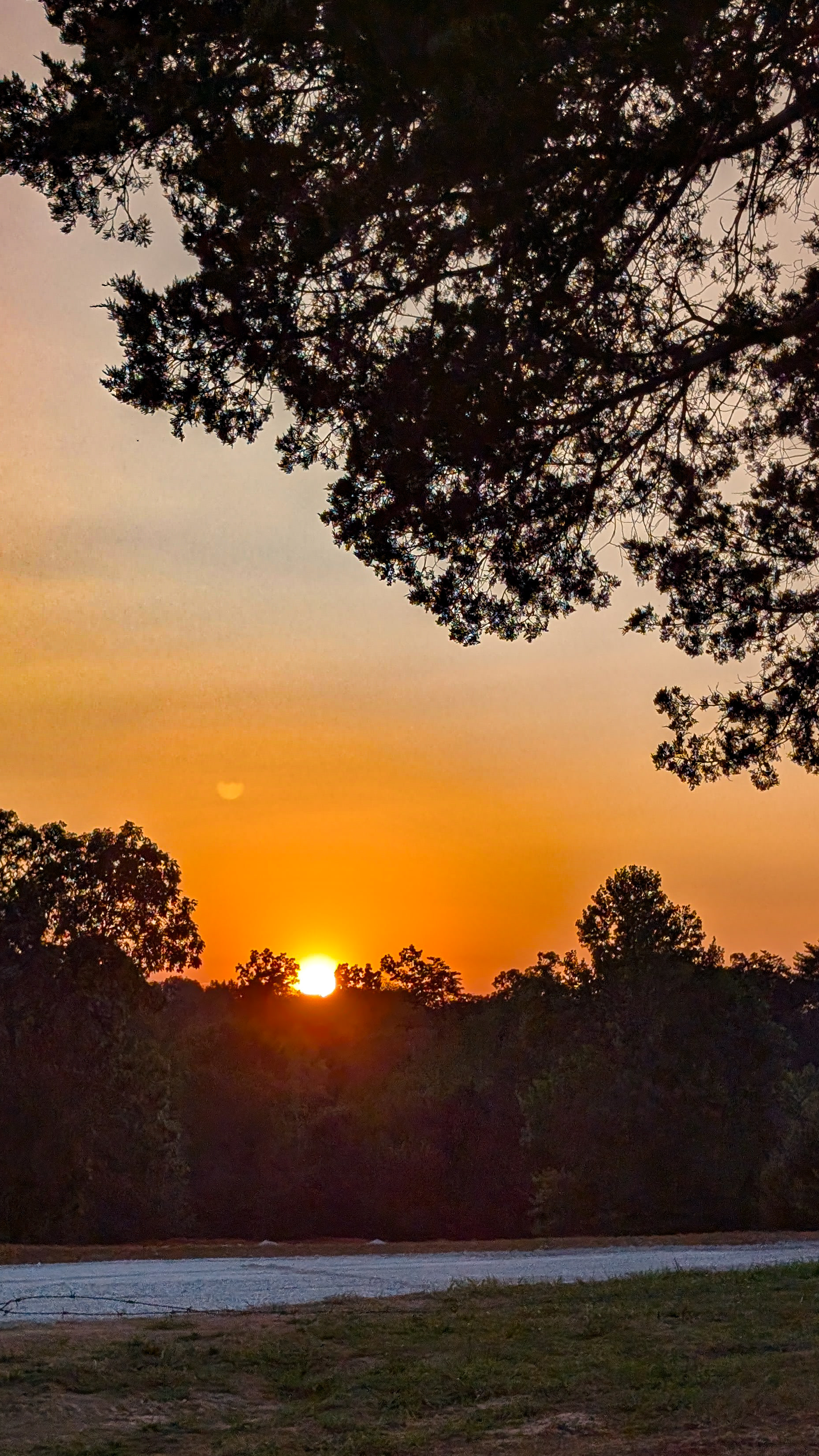 Sunset on the back of the site.