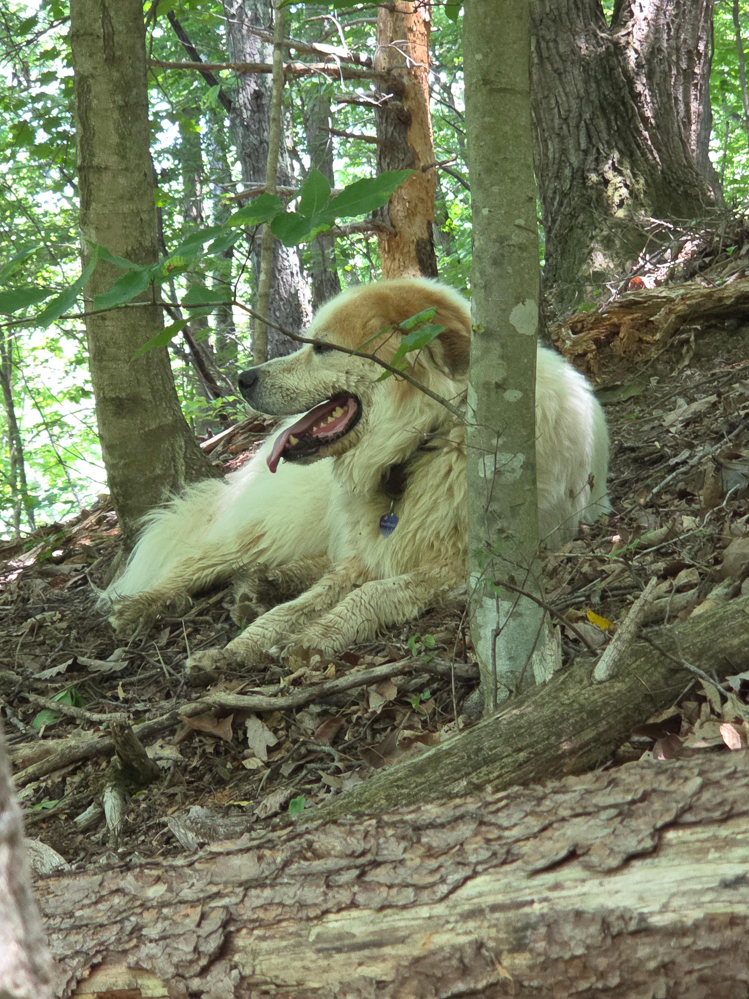 Riverside Campground at Seneca