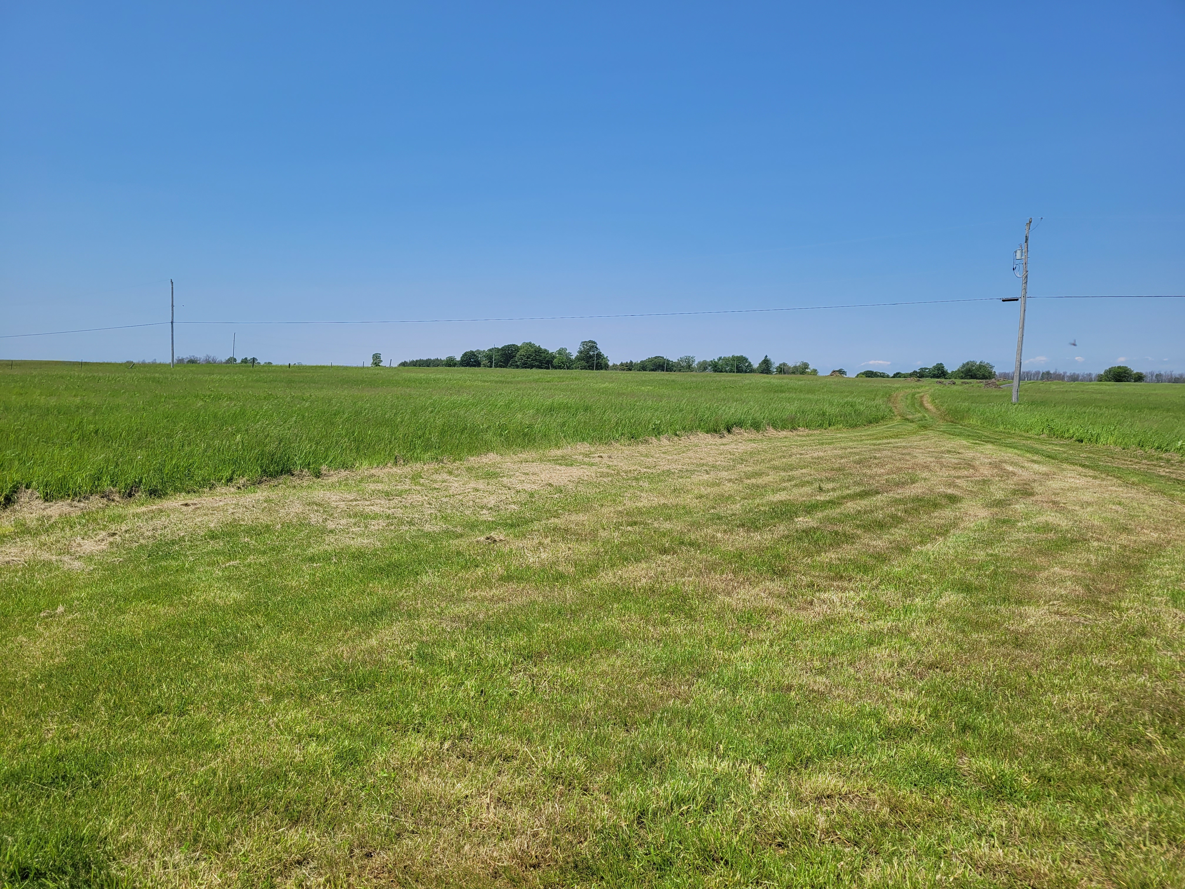 Windpsalm Acres