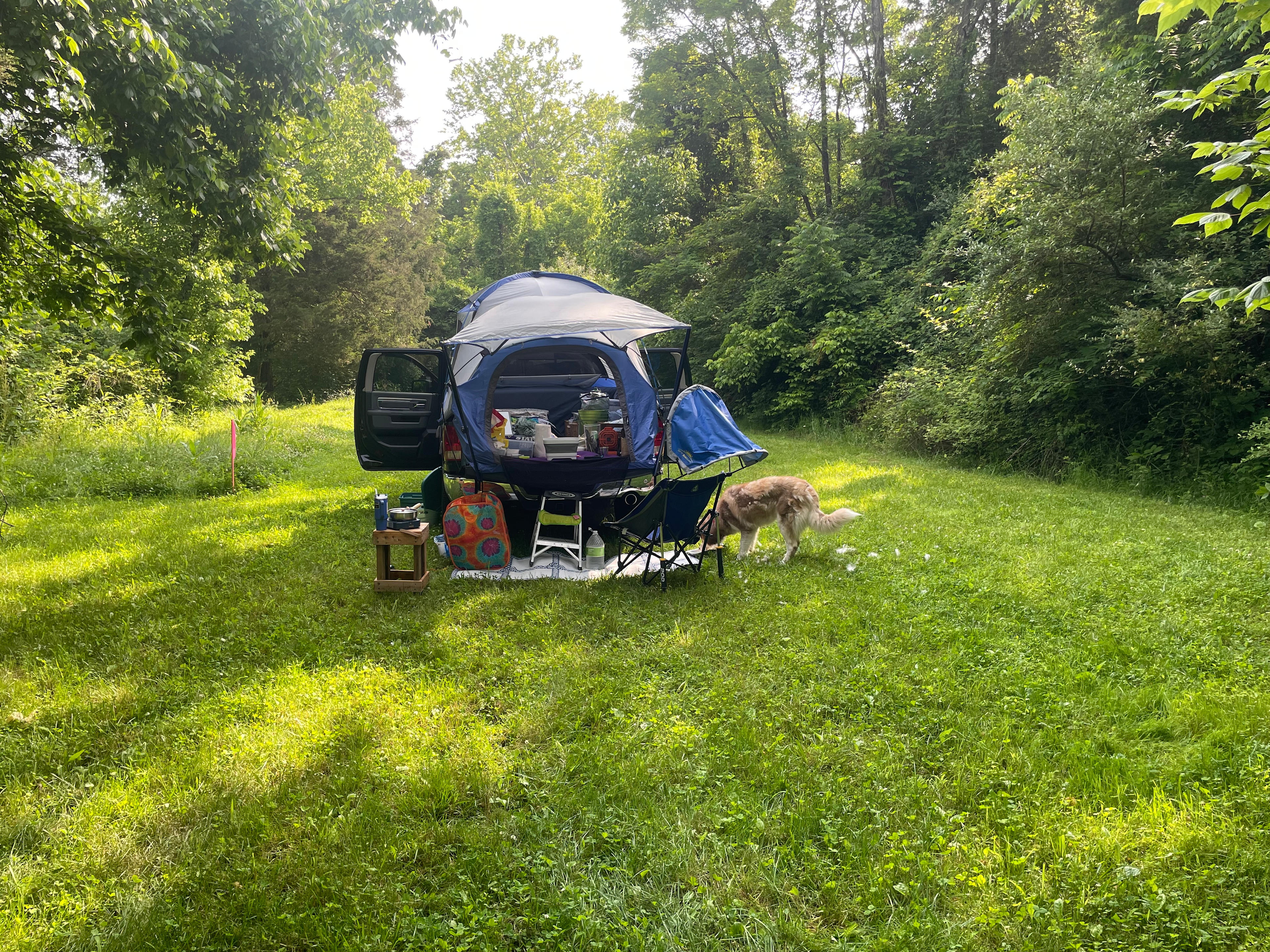 Phoenix Rising Villas