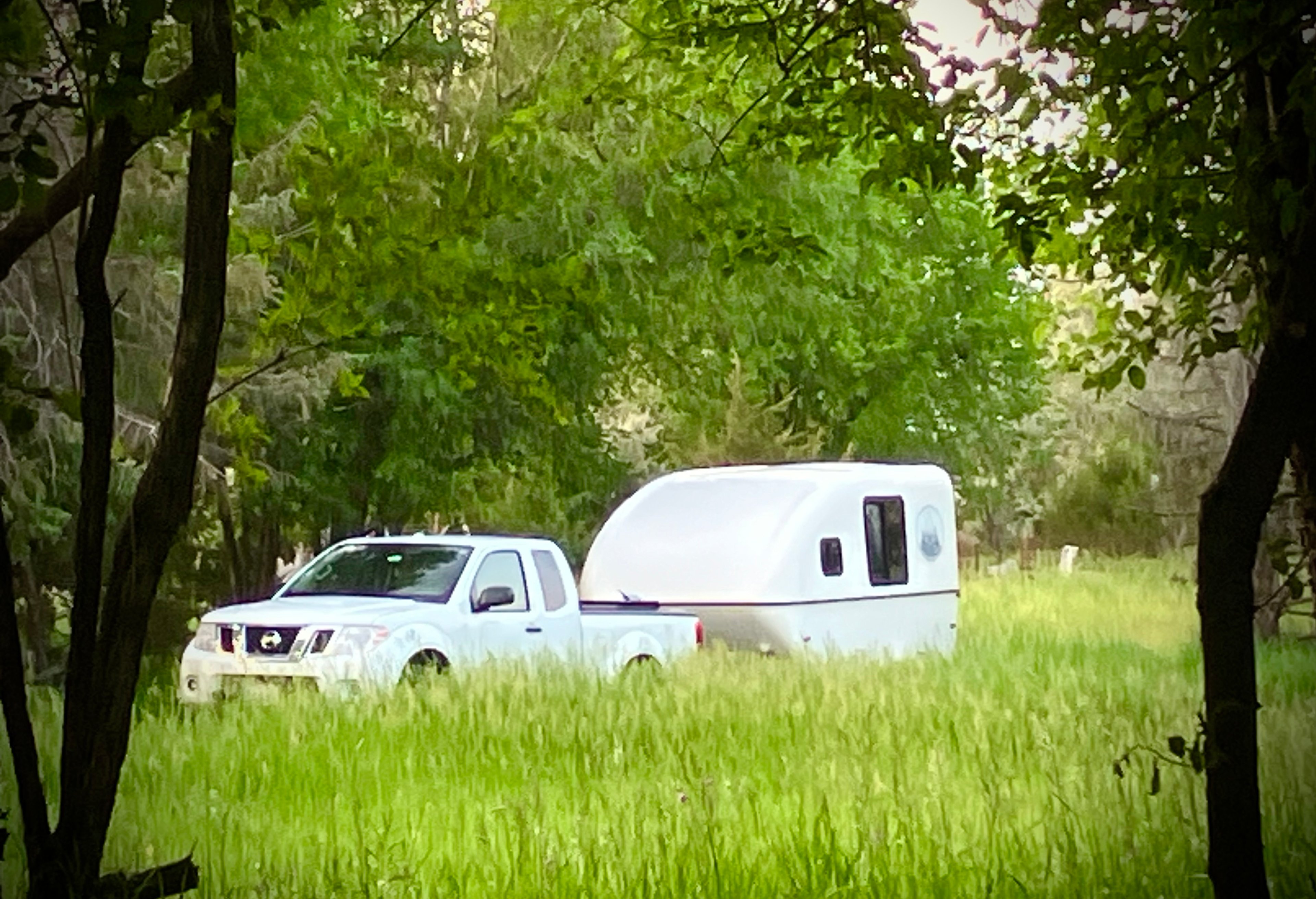 Has the grass been mowed?