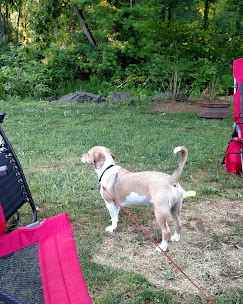 Lake Glory Campground