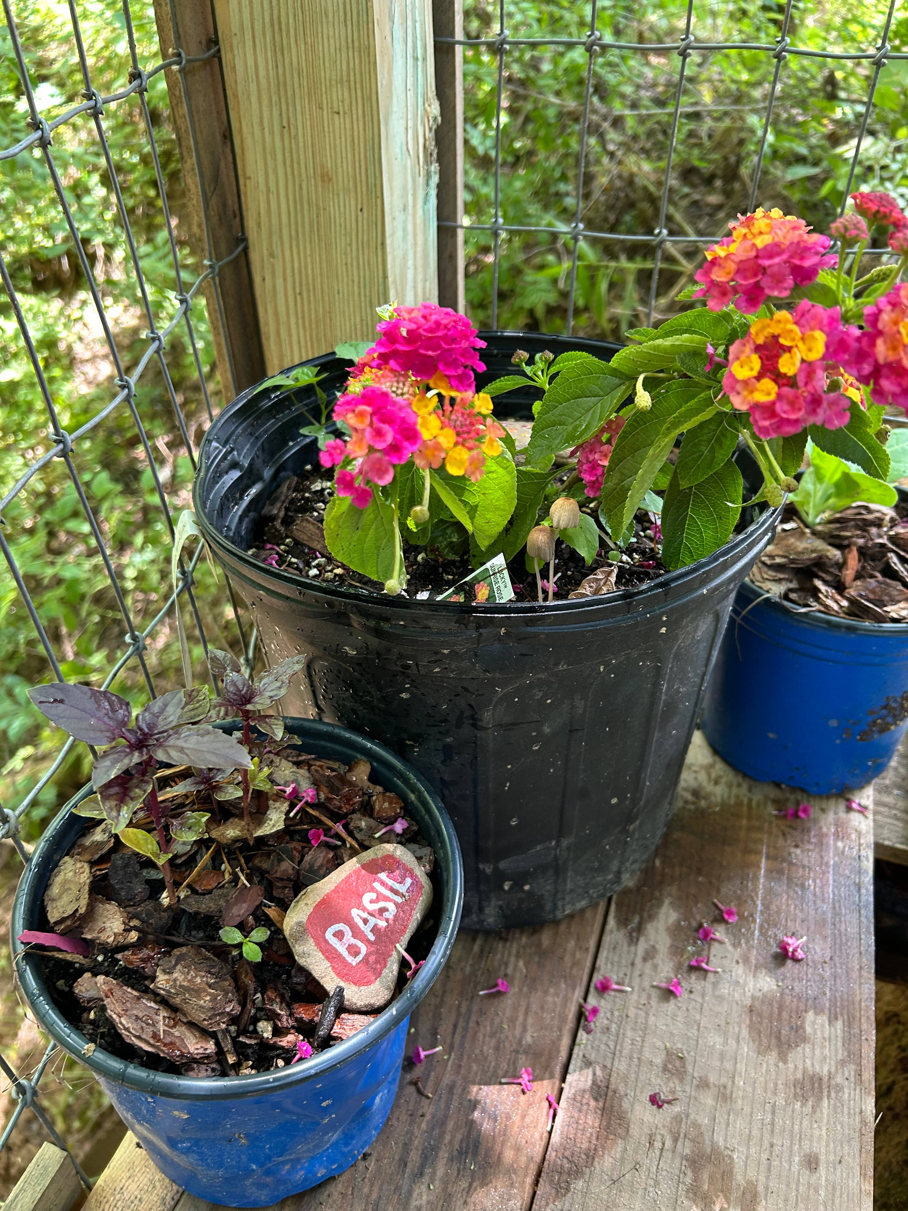 Triple J Farm and Campground