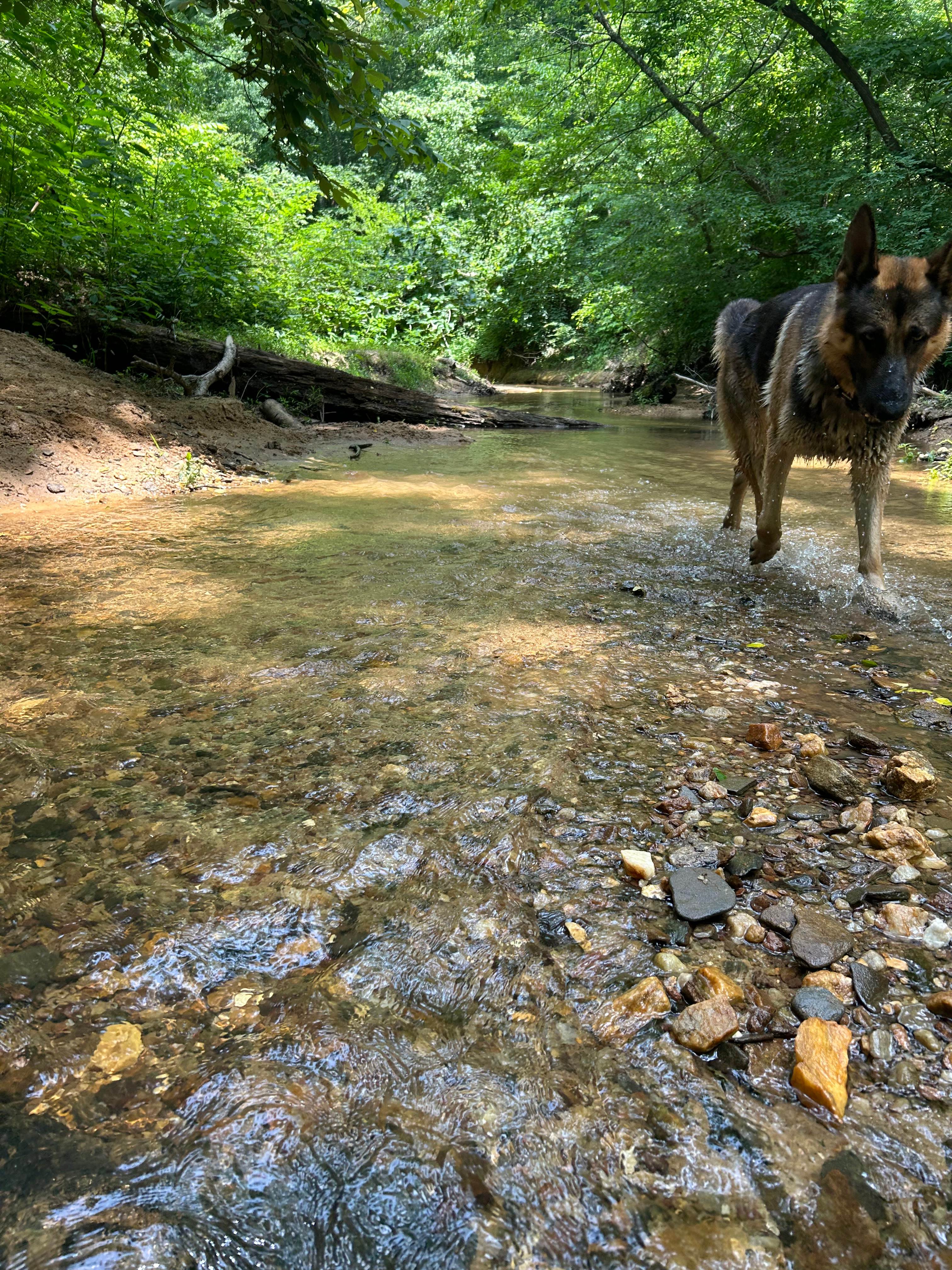 Triple J Farm and Campground