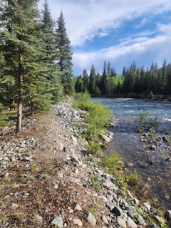 Vallecito Creekside RV Parking