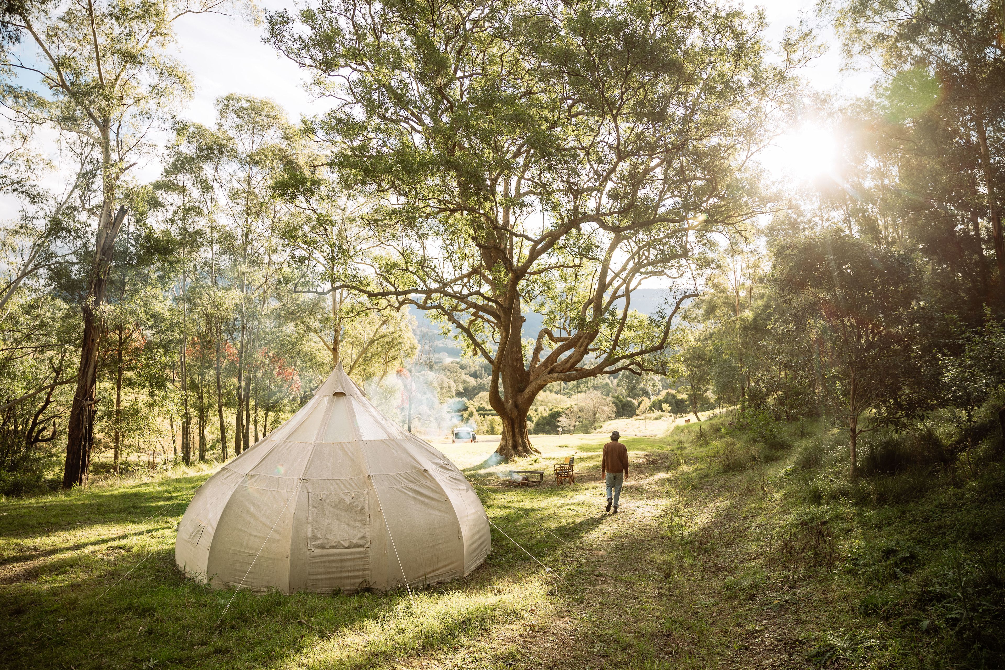 Glamping Around An Ancient Tree
