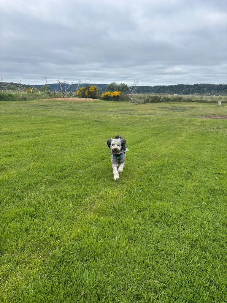 Coquille River RV Park