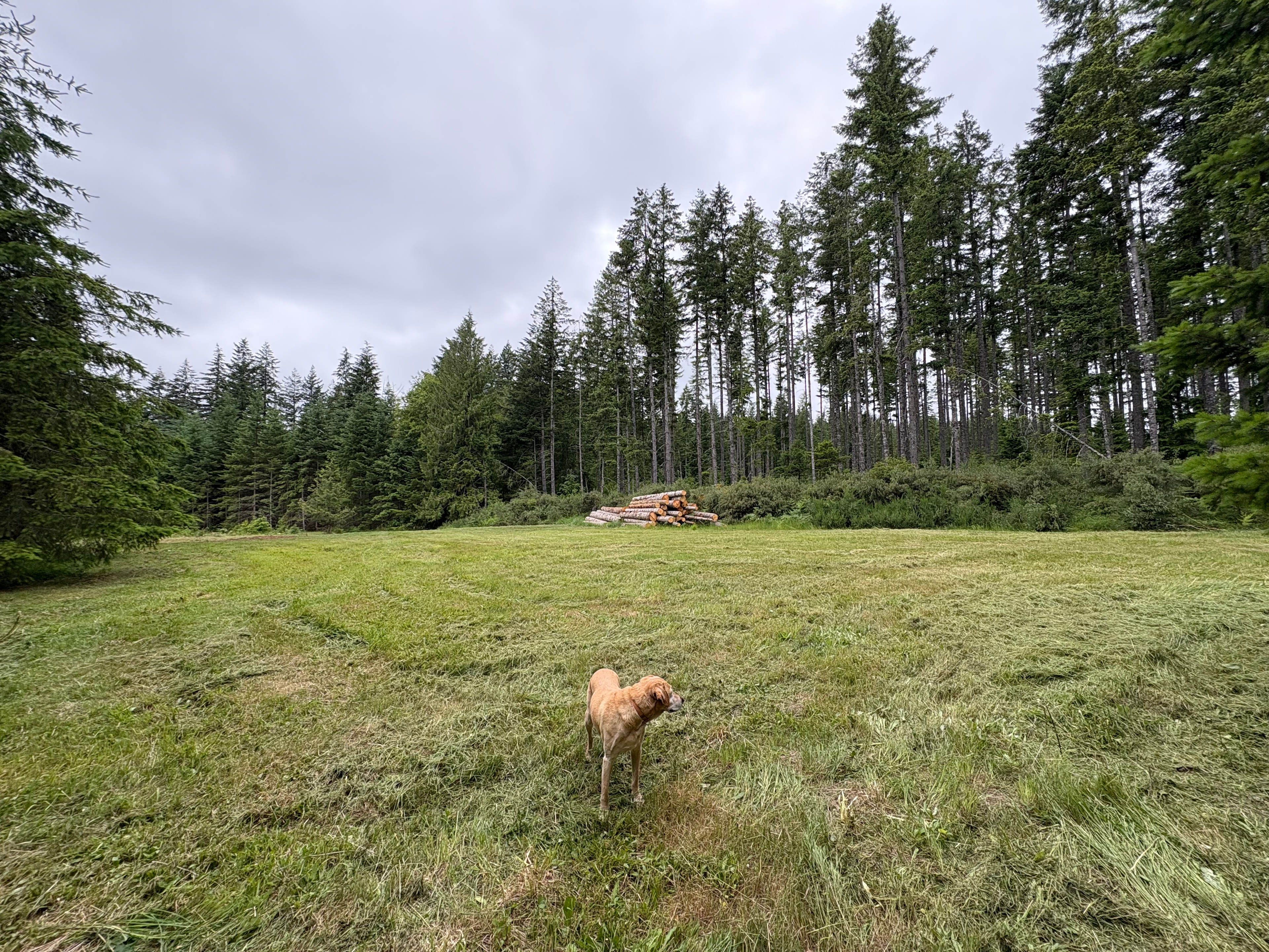 Vista View Ranch