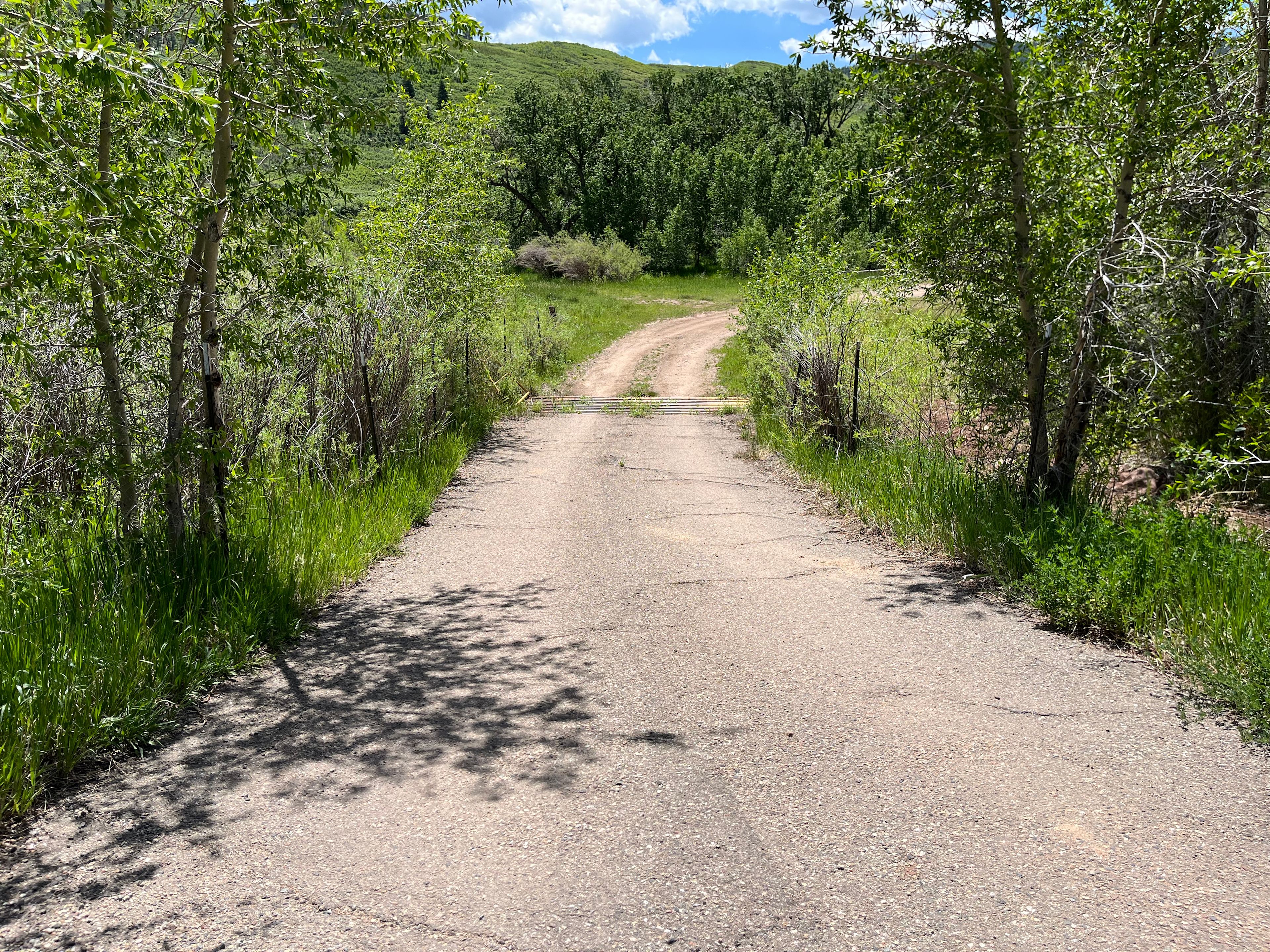 Lone Spruce Camp