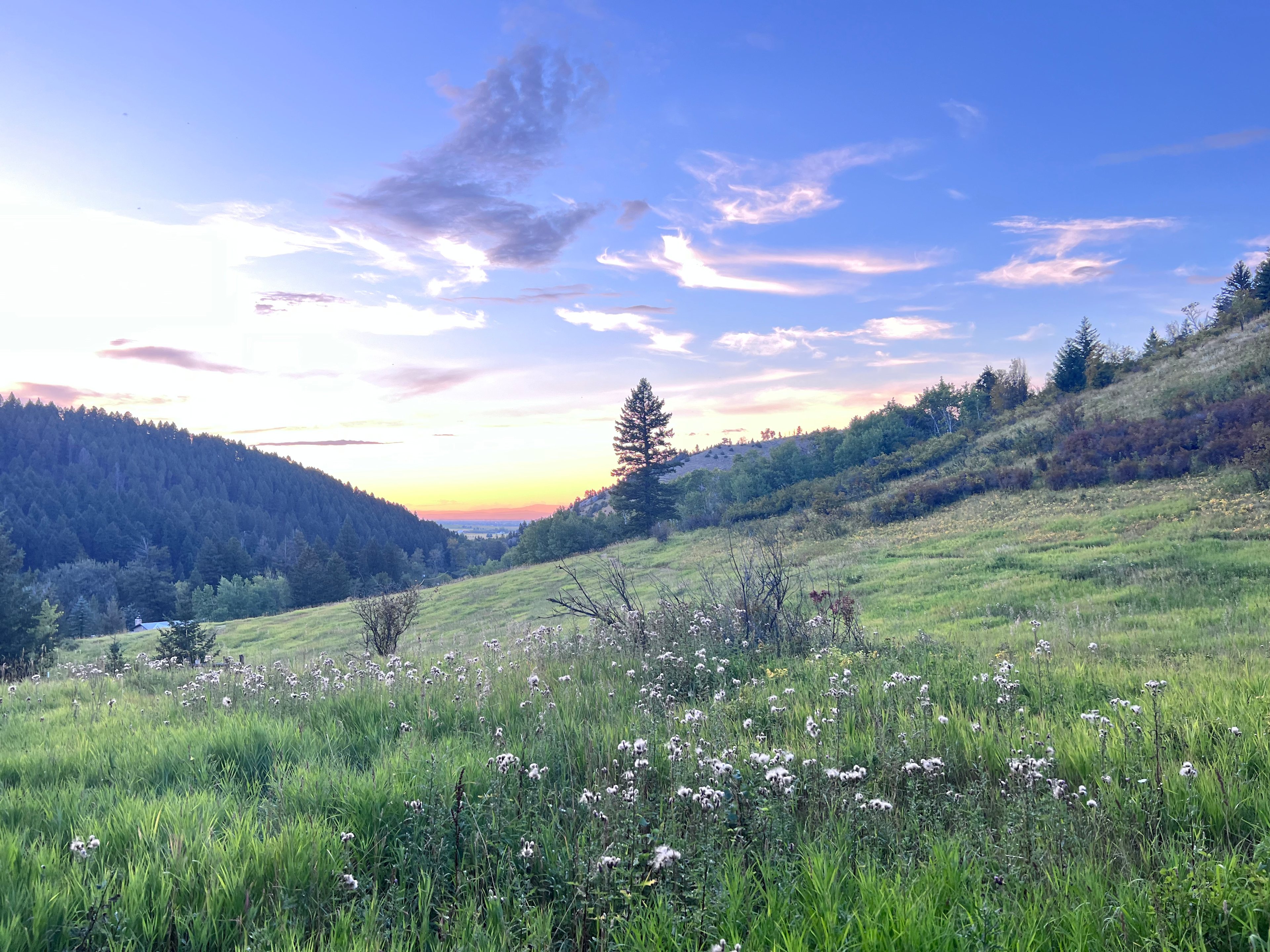 Bear Canyon Bliss