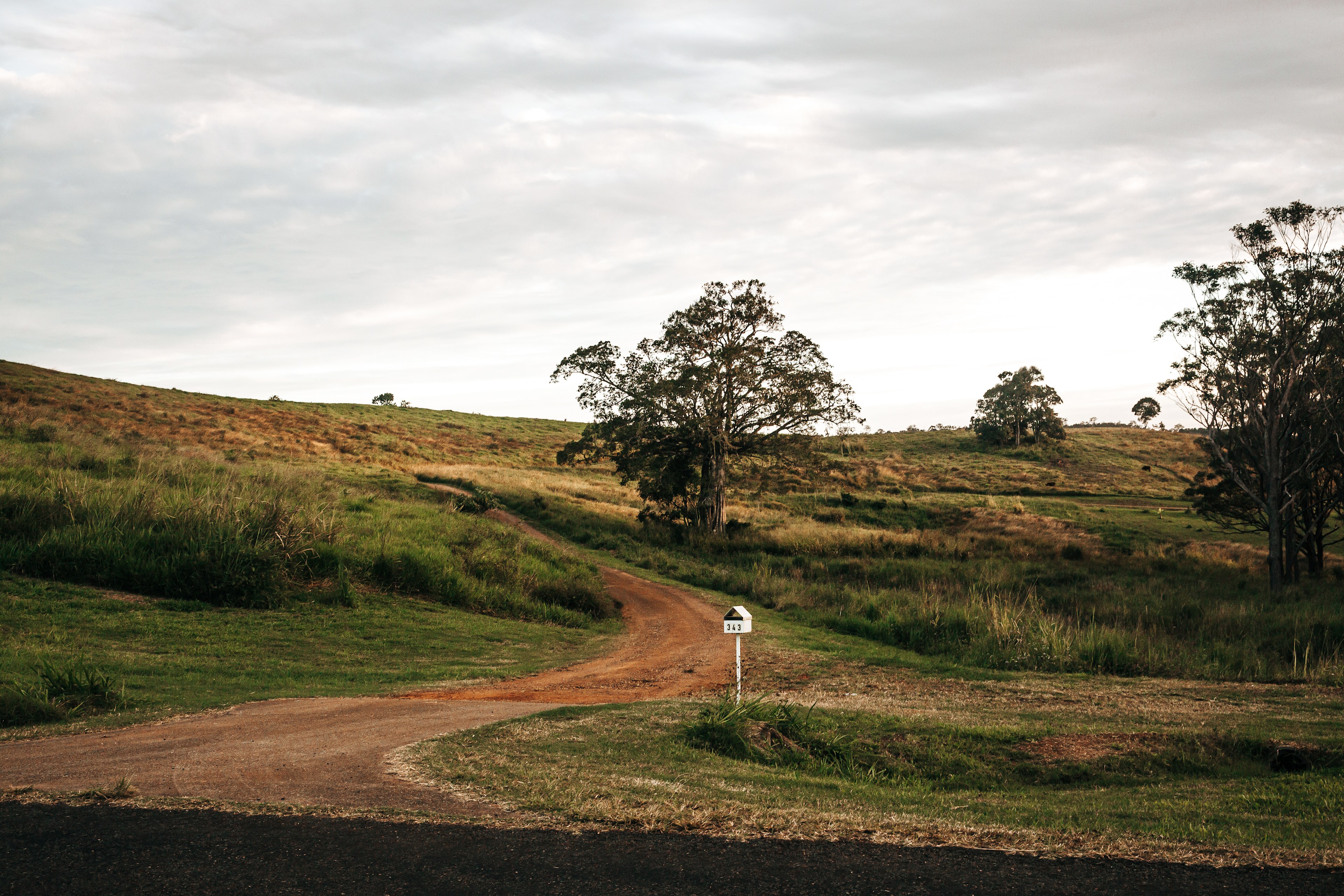Wakana Ridge Homestead