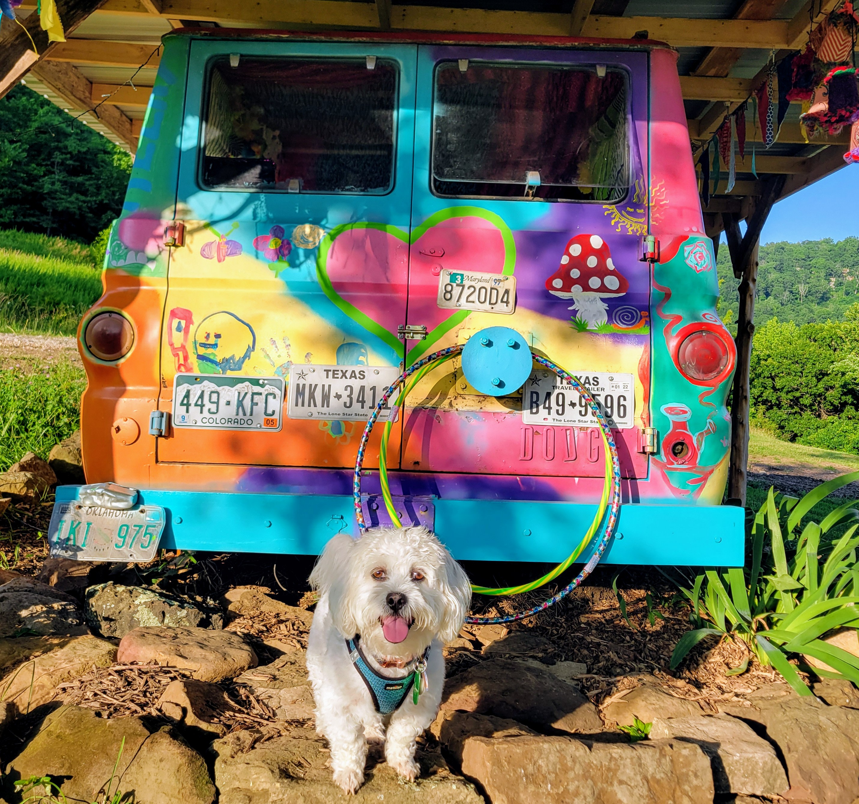 Enchanted Ozark Fairytale Camp