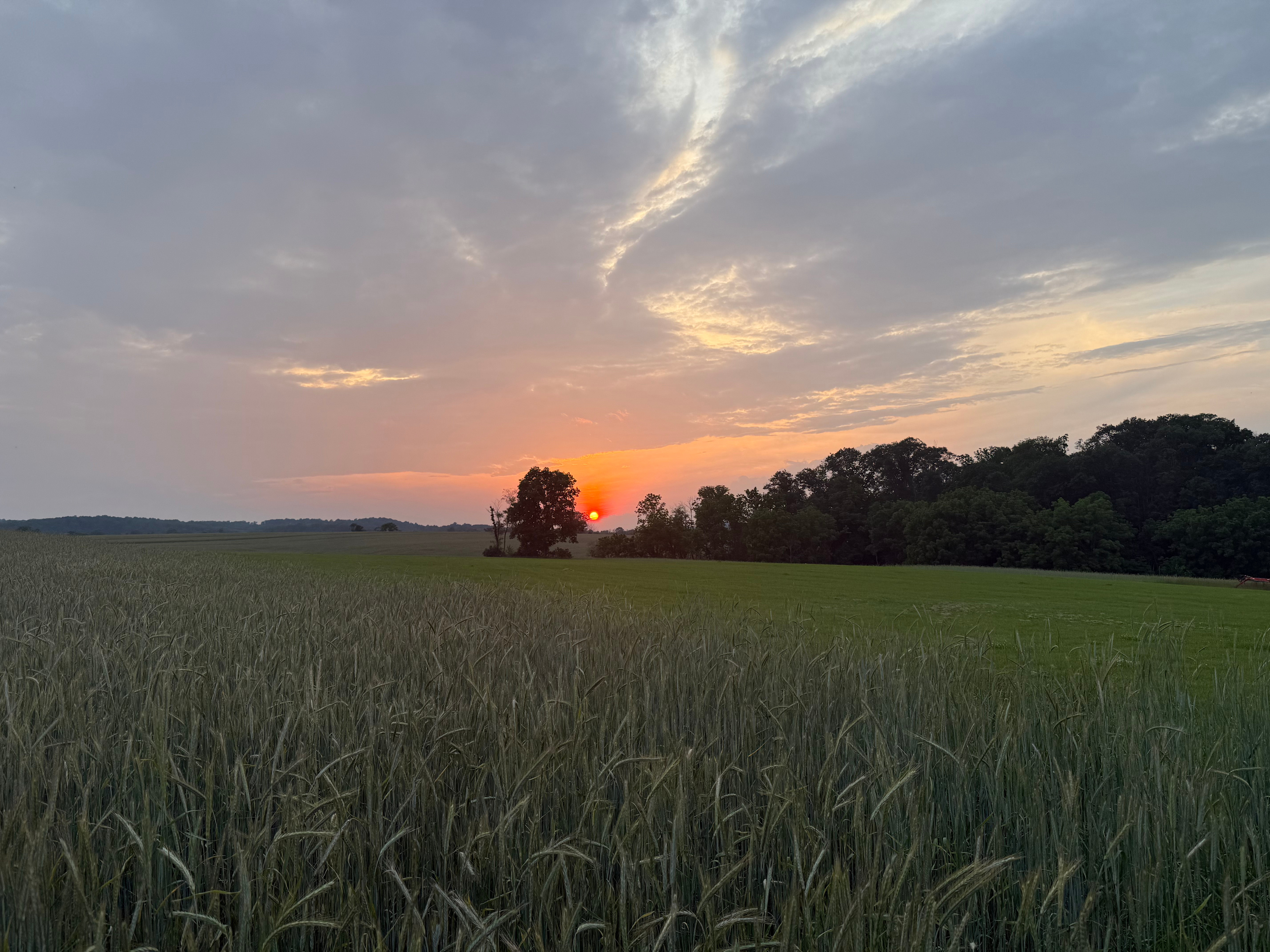 Big Sky Sunsets