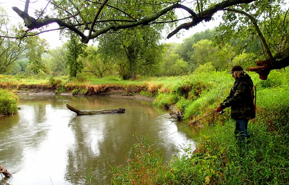 Oxbow Island on the Pine.