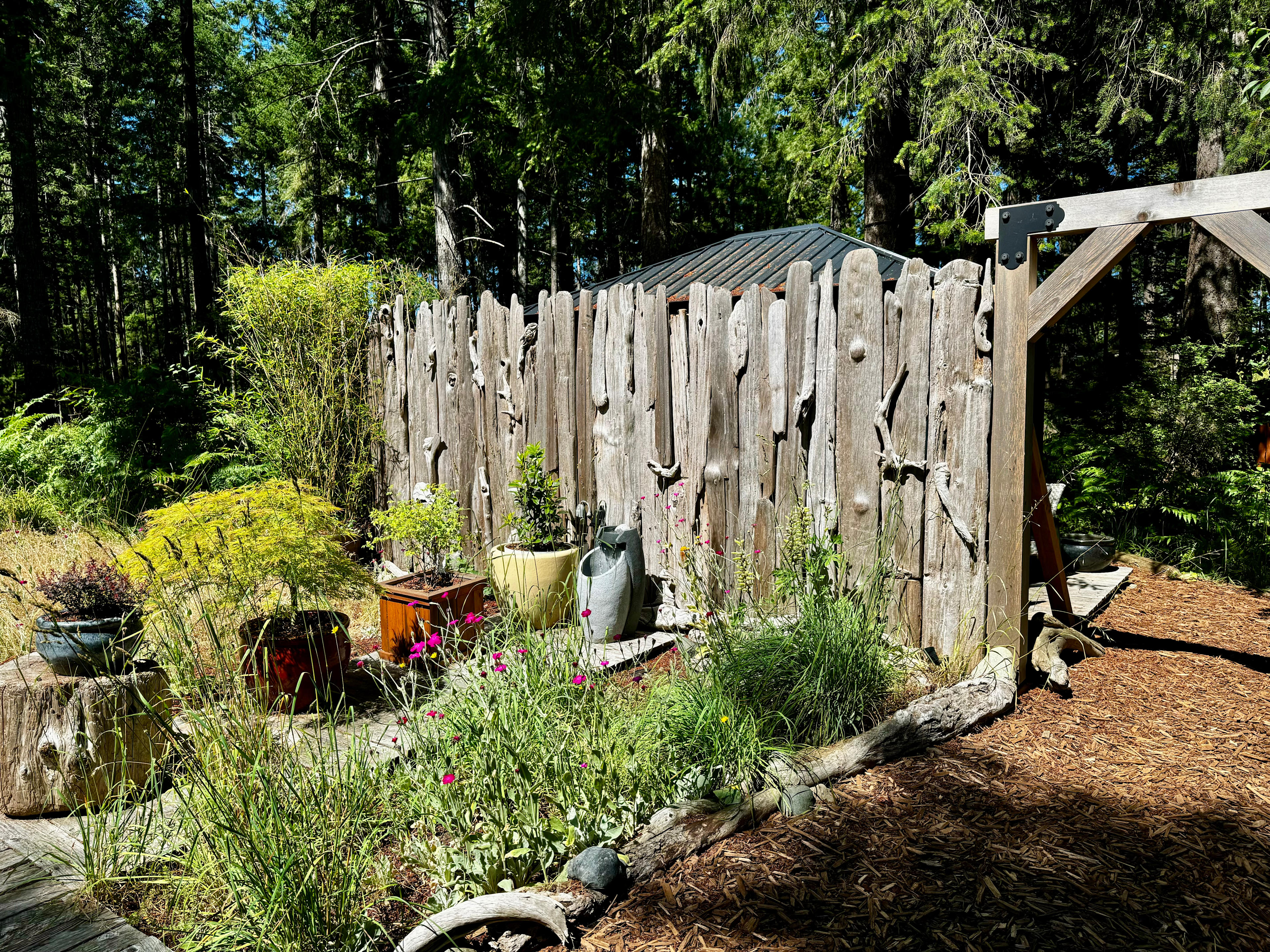 Cape Lazo Forest/Ocean Pod