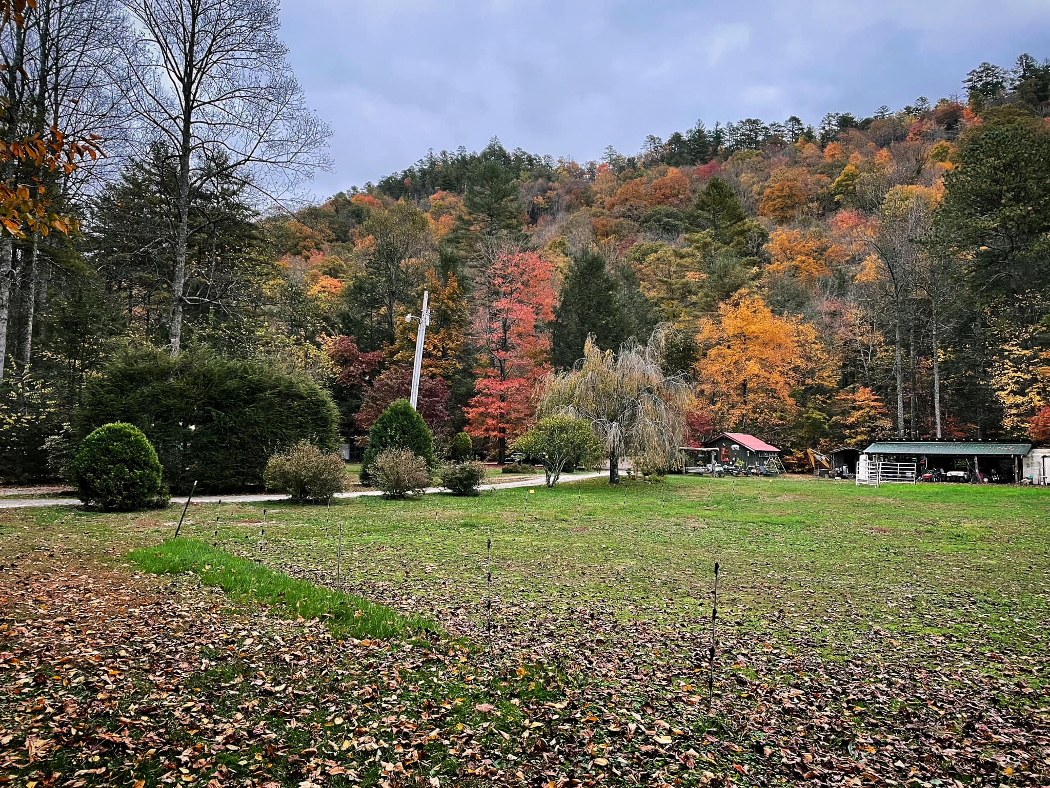 Lazy J Campground