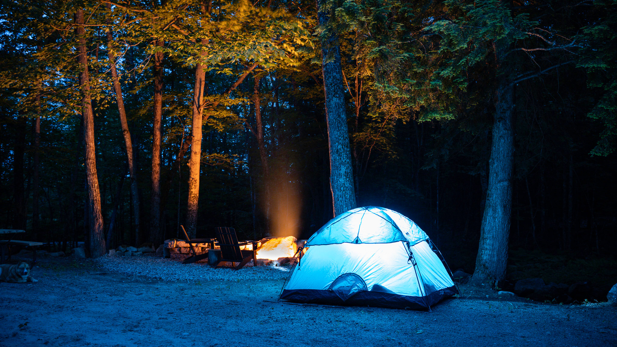 Lil' twilight glow getting the tent ready after some time by the fireside