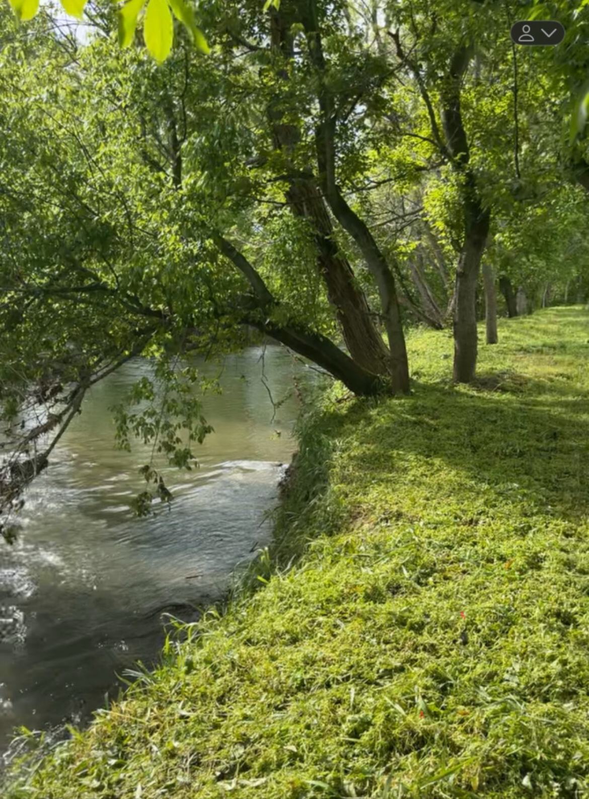 Oaklawn Land & Livestock LLC