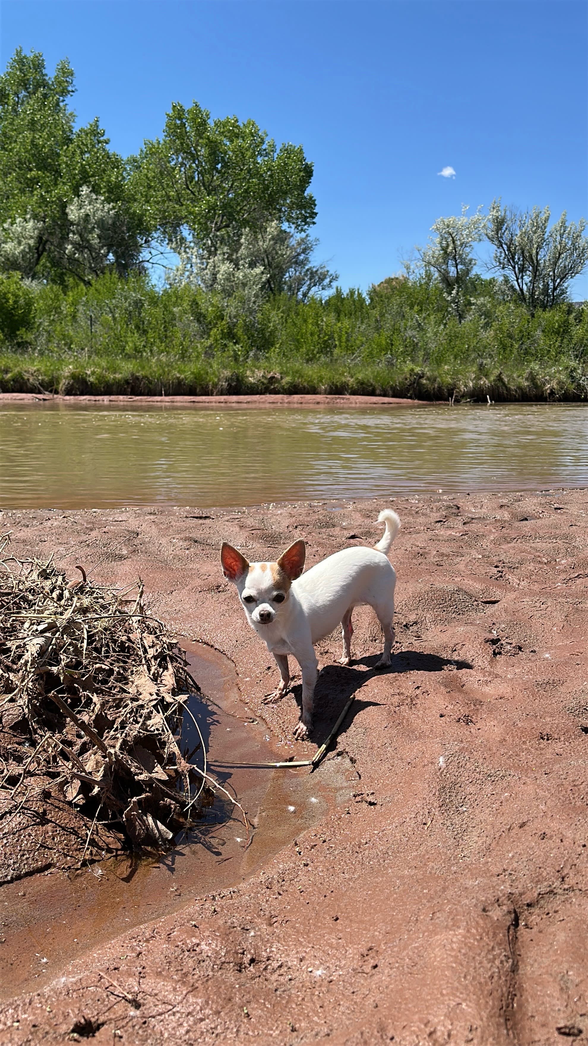 Viento Del Rio RV River Campsite