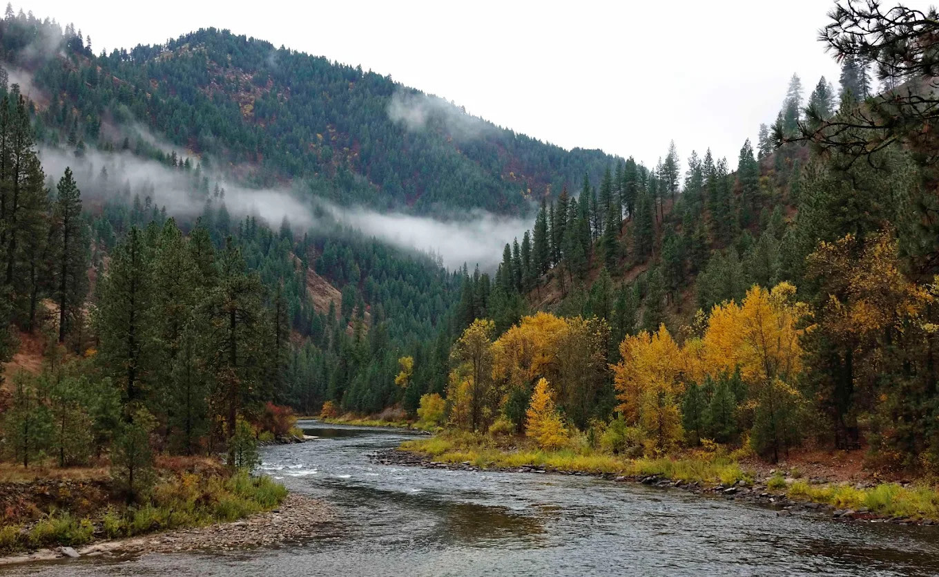 Riverpond Campground