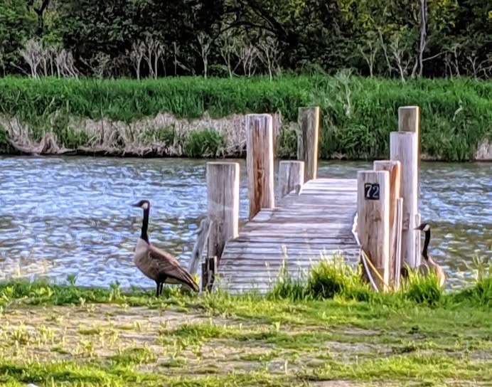 Montour Falls Municipal Marina & Campground