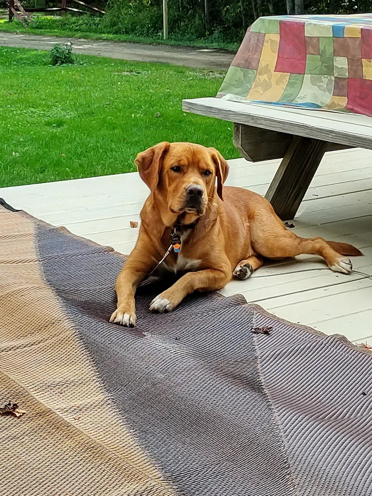 Bettum's Idlewood Family Campground