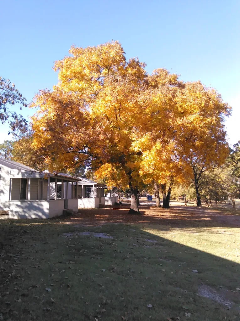 Cedar Mills Marina and Resort