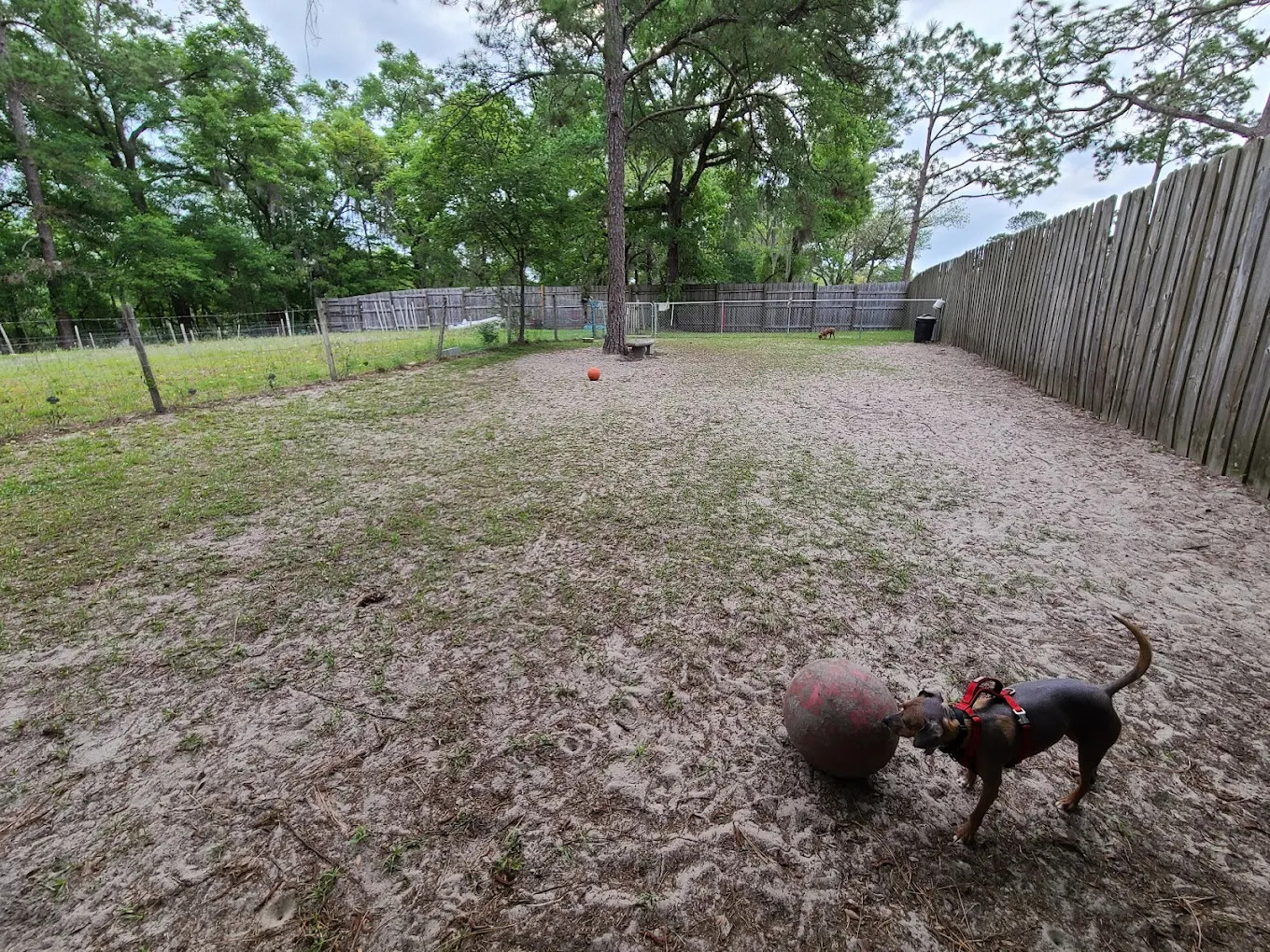 Suwannee Valley Campground