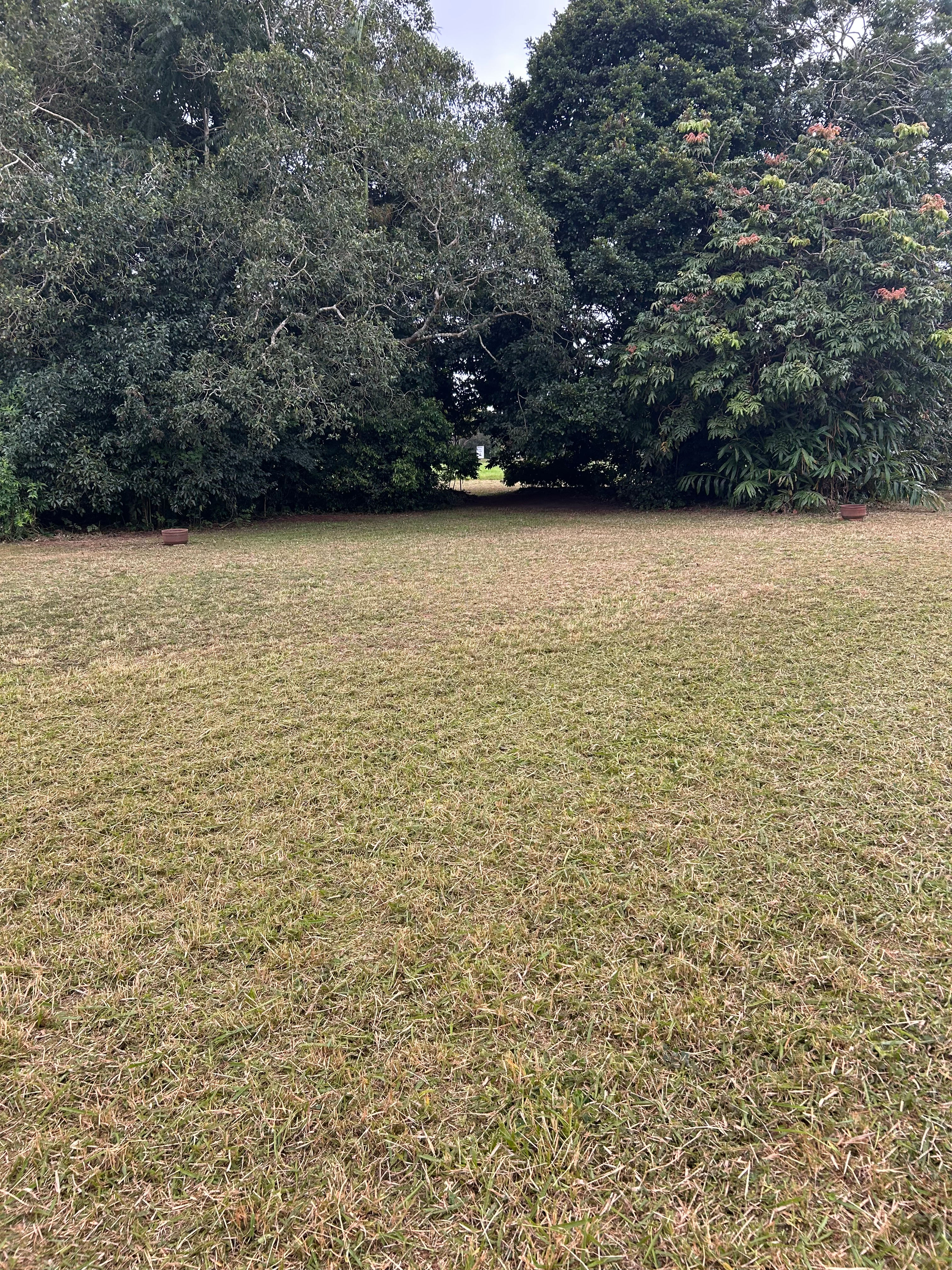 Burraview