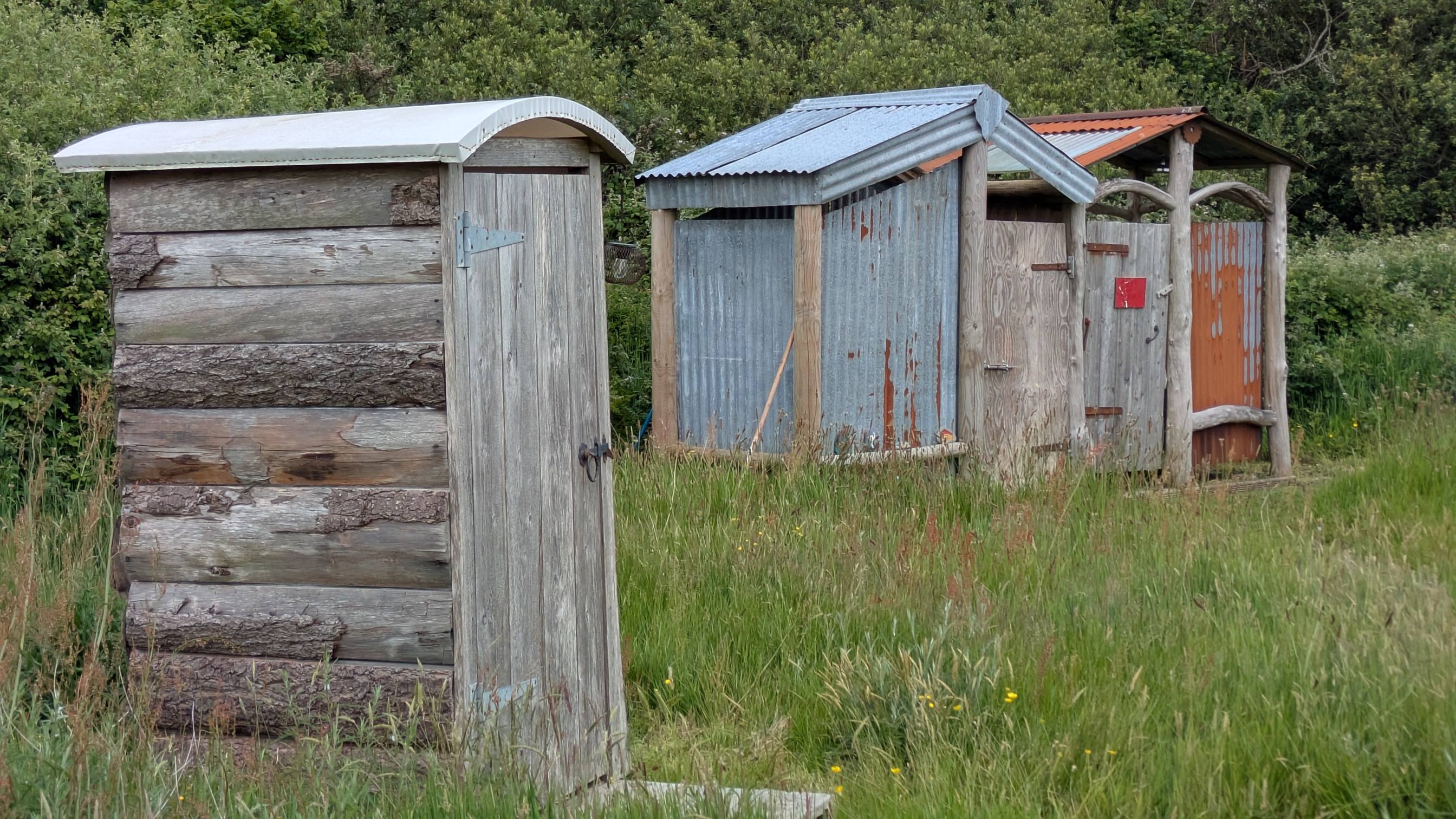 Mushroom Meadow, Cornwall UK