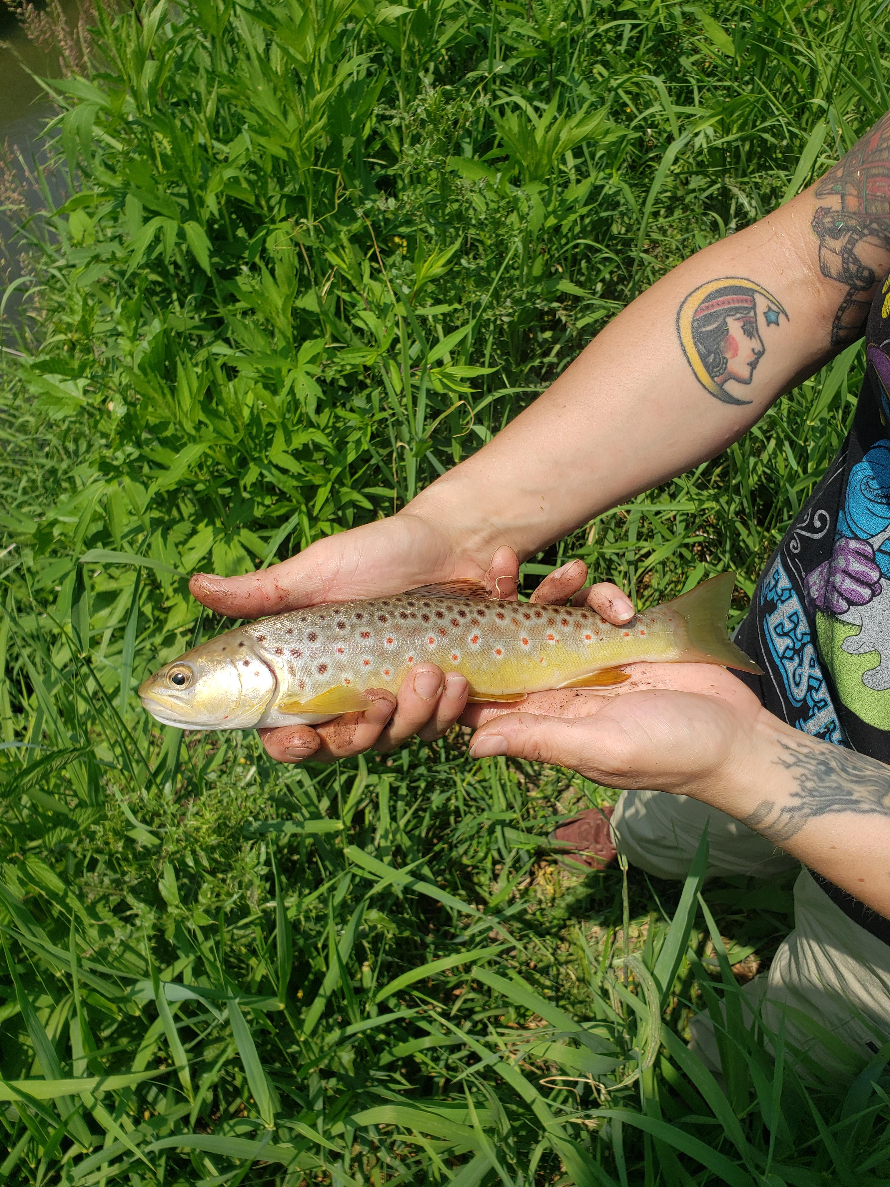 WHY Camp Worth Healing Yourself