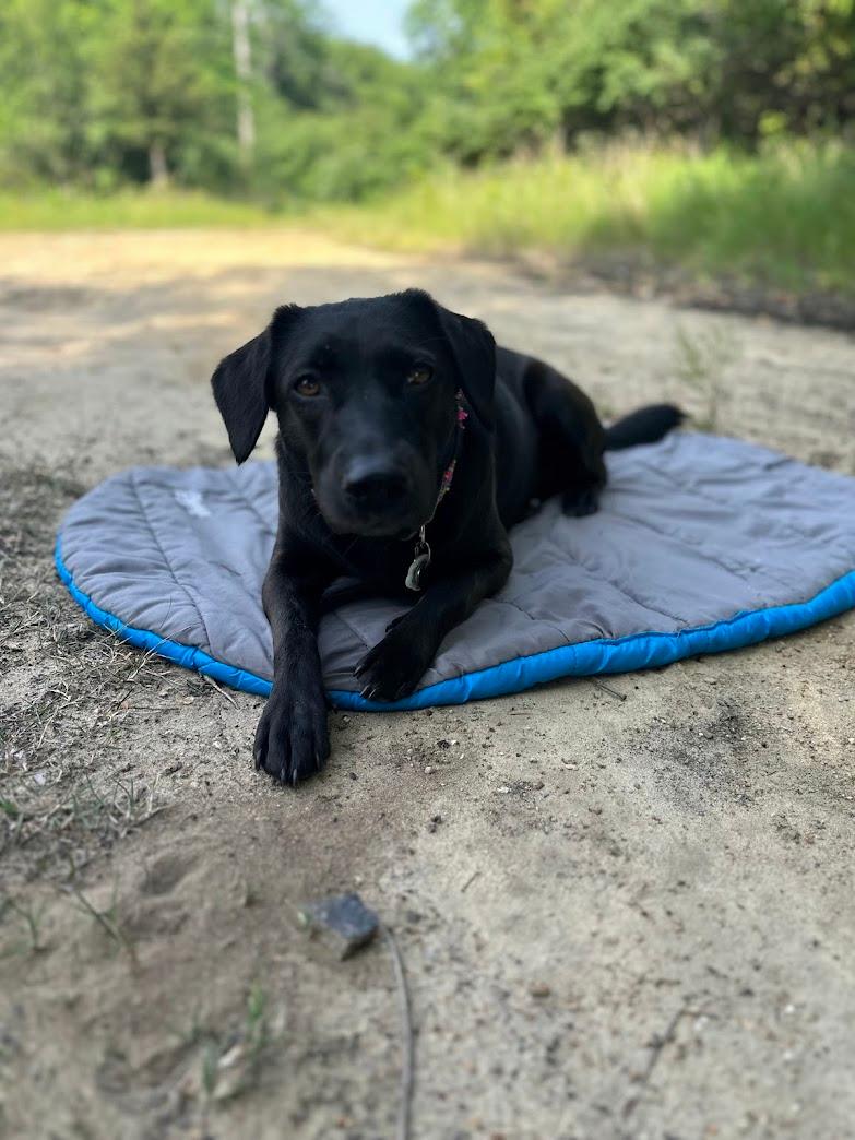Relaxing in the shade