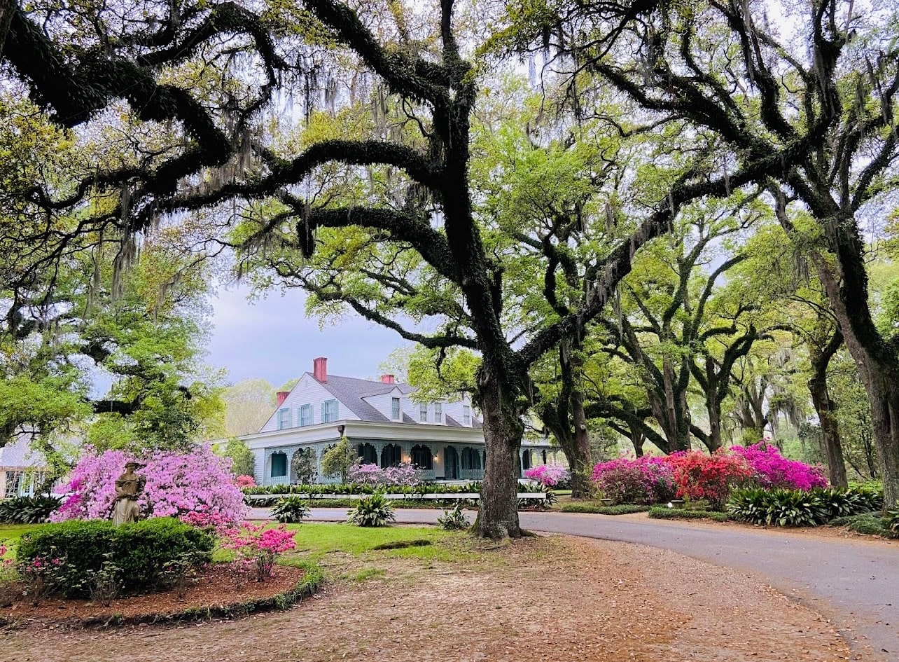 Abbott’s Acre