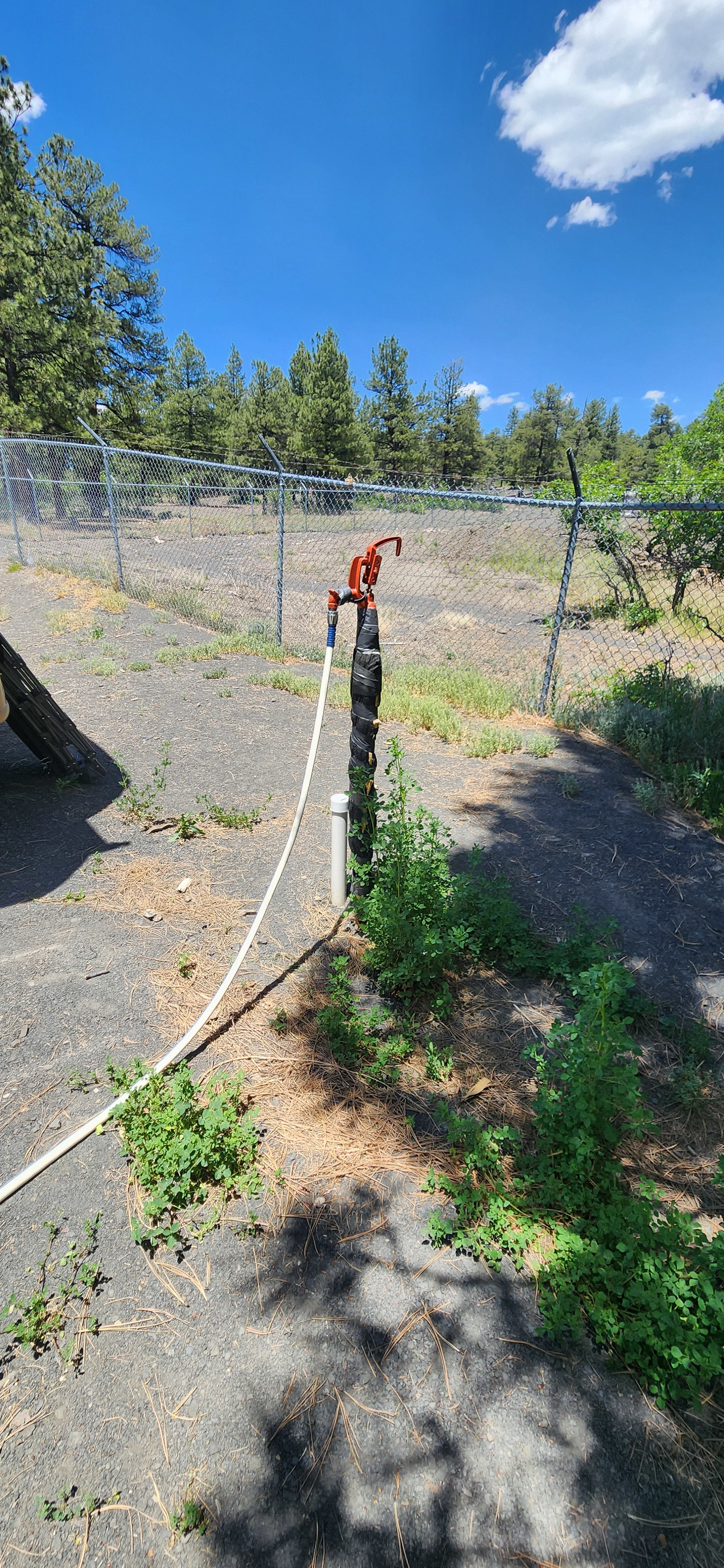 Walkable downtown Pagosa property