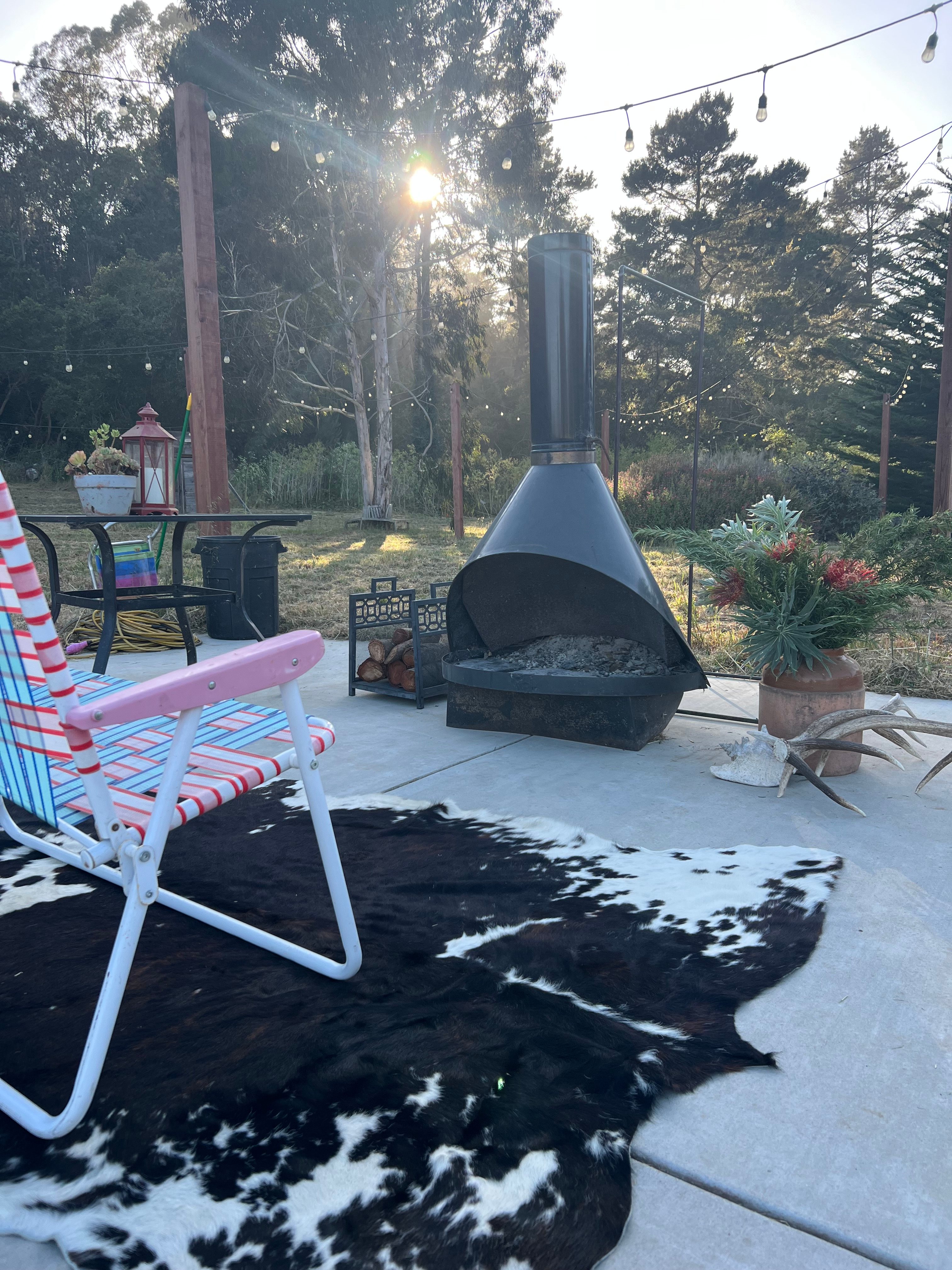 Country + Redwoods - Near beach!