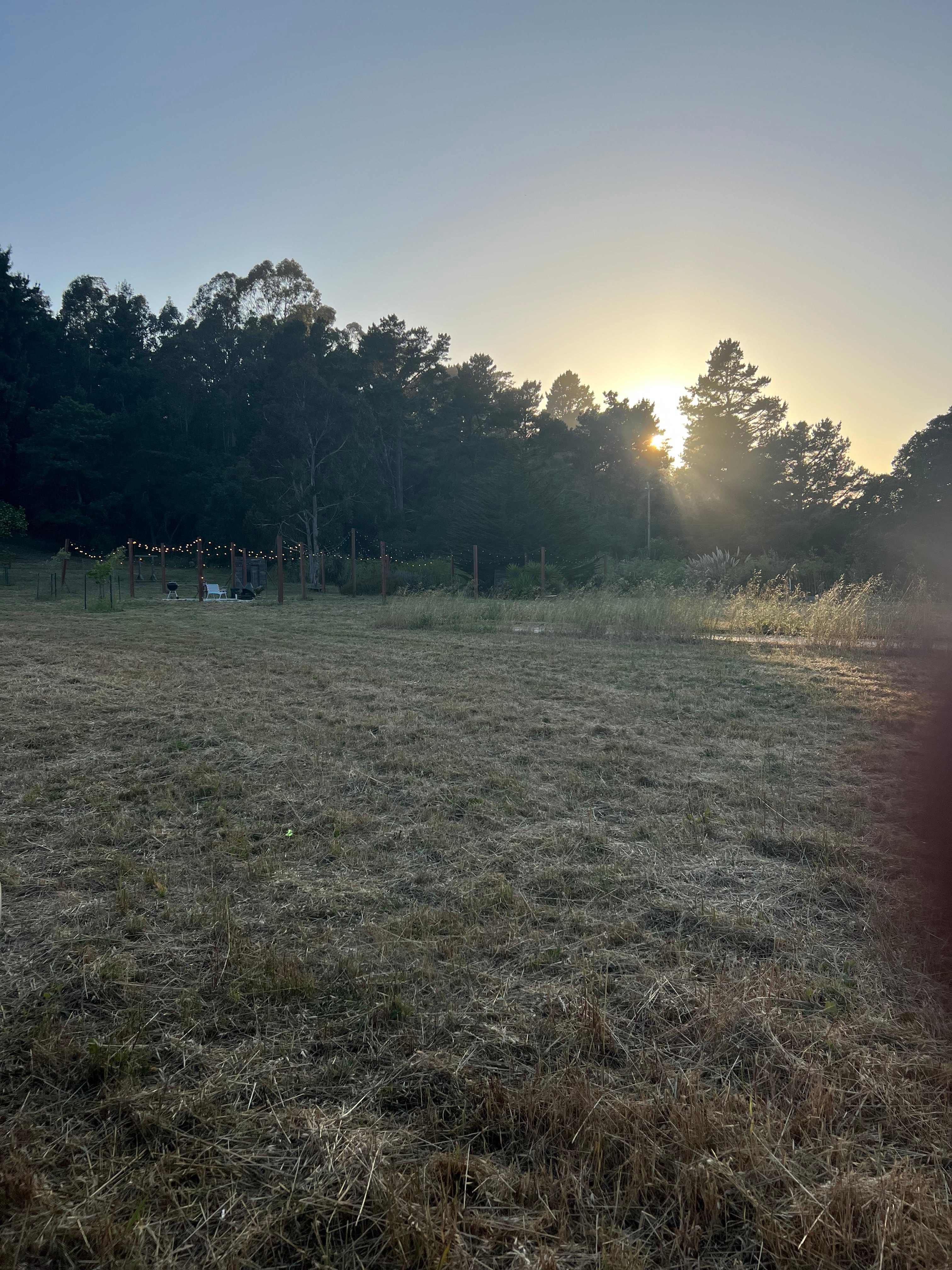 Country + Redwoods - Near beach!