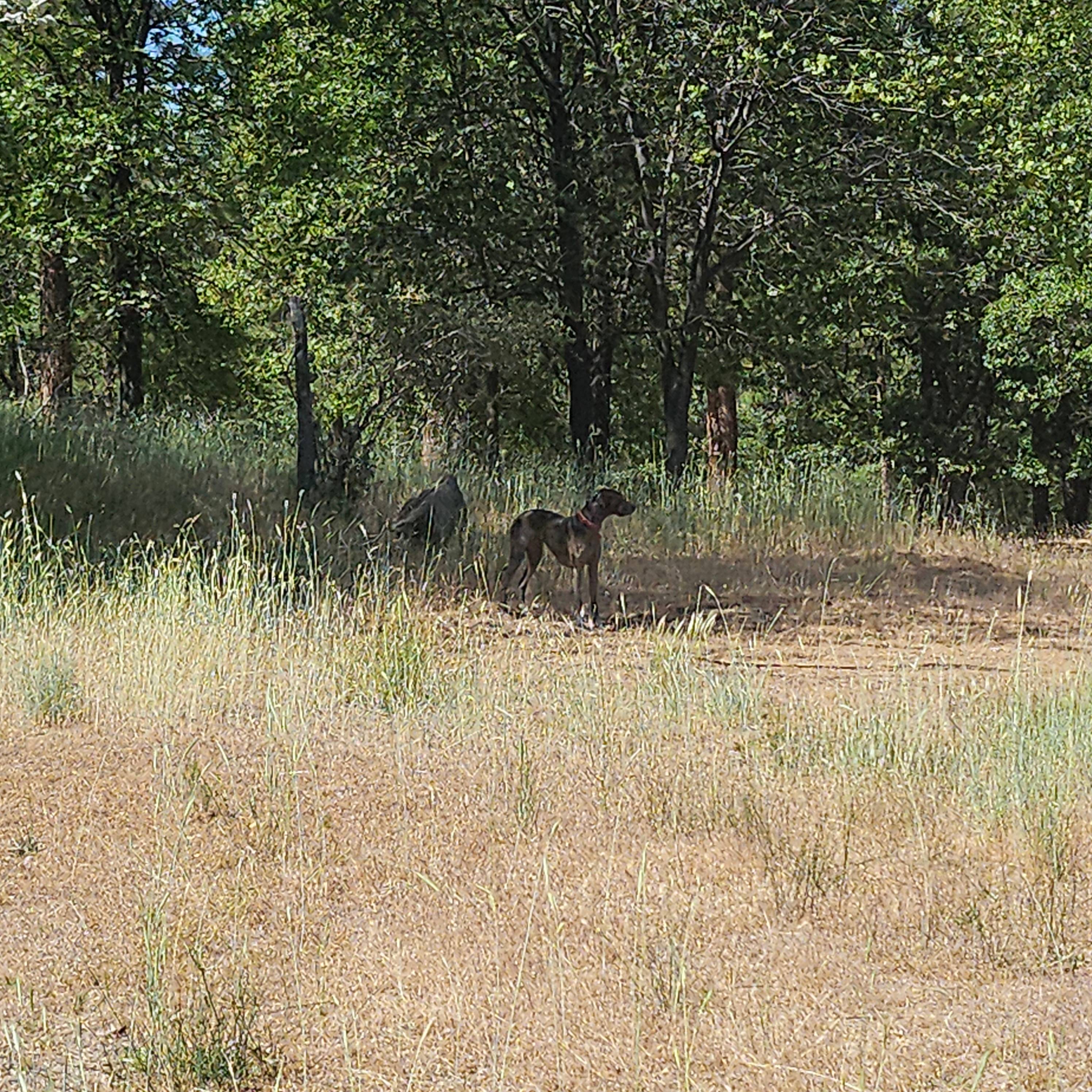 High Desert RV Hideaway