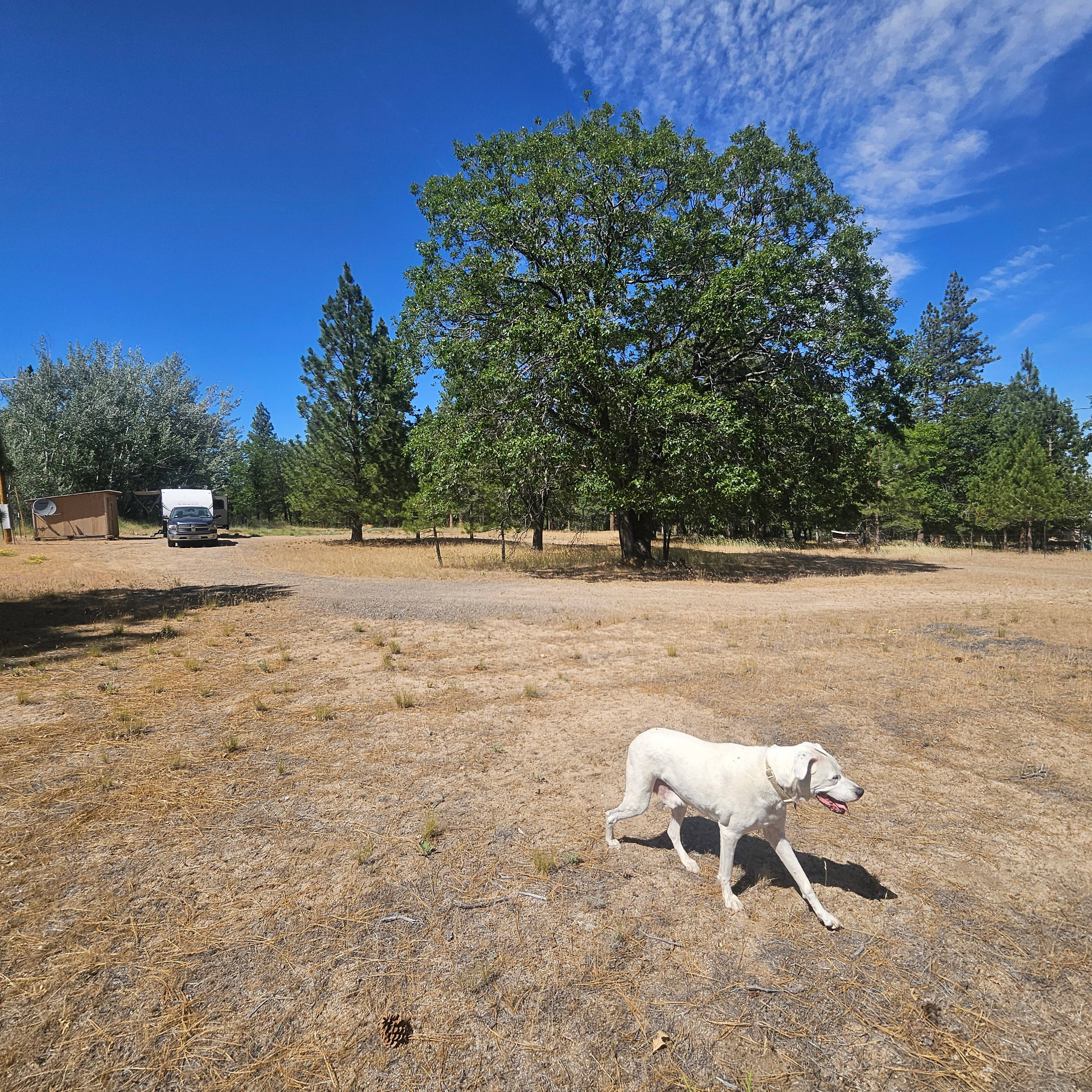 High Desert RV Hideaway