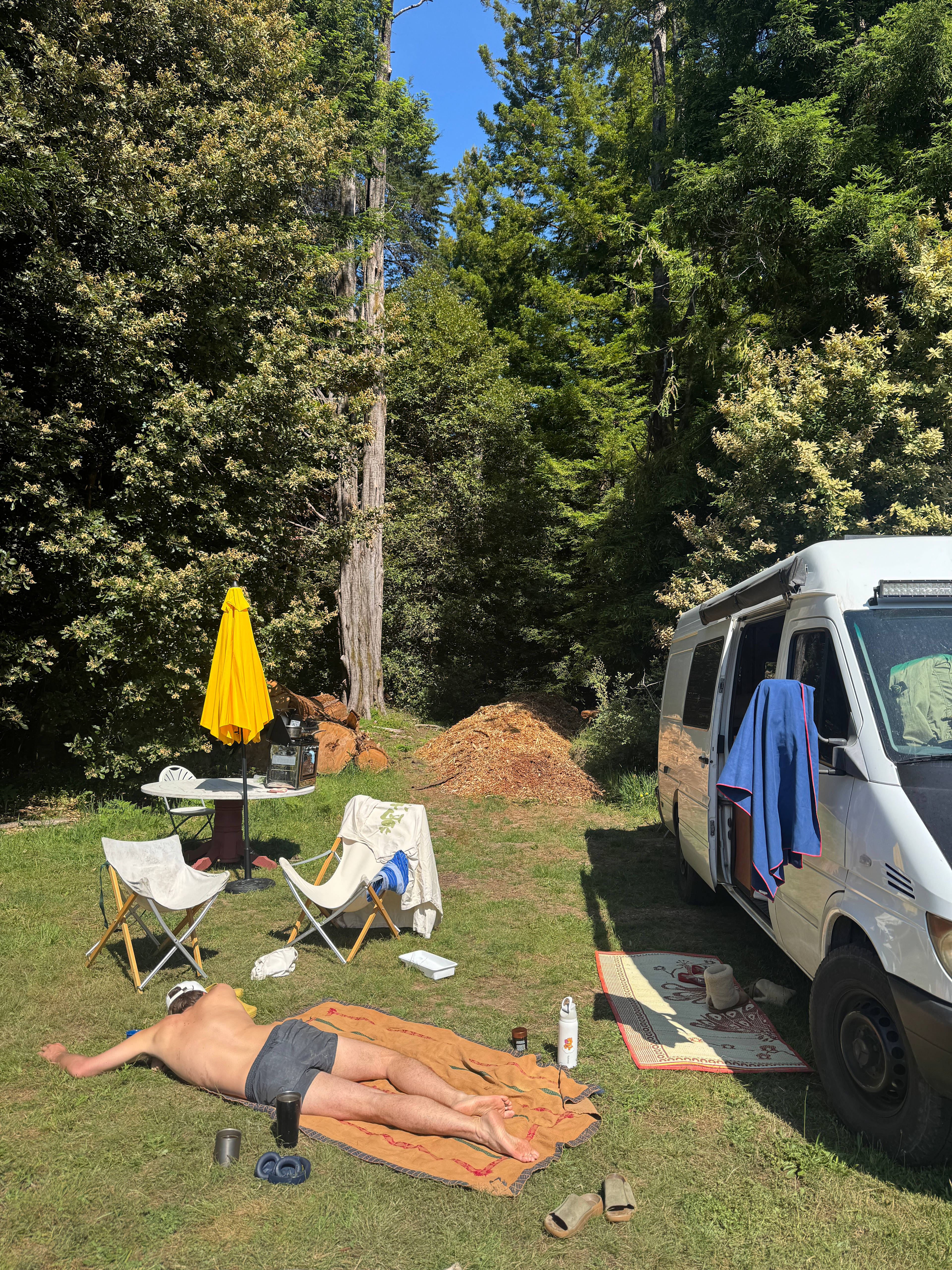 Meadow Farm & Forest