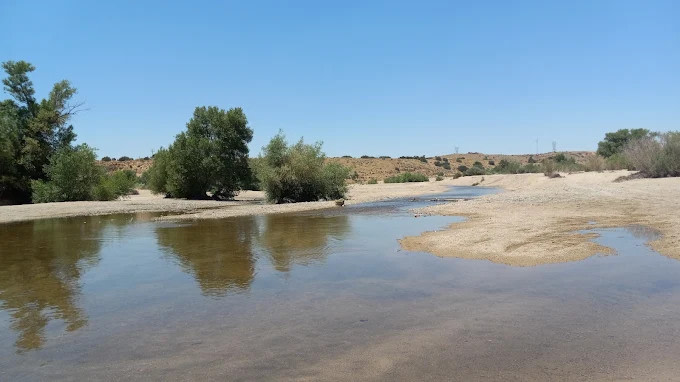 Mojave River Forks Campground