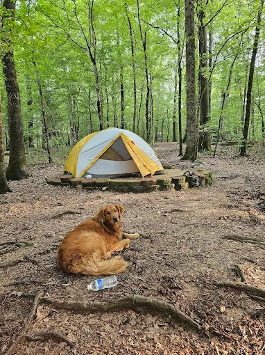 Tunica Hills Campground