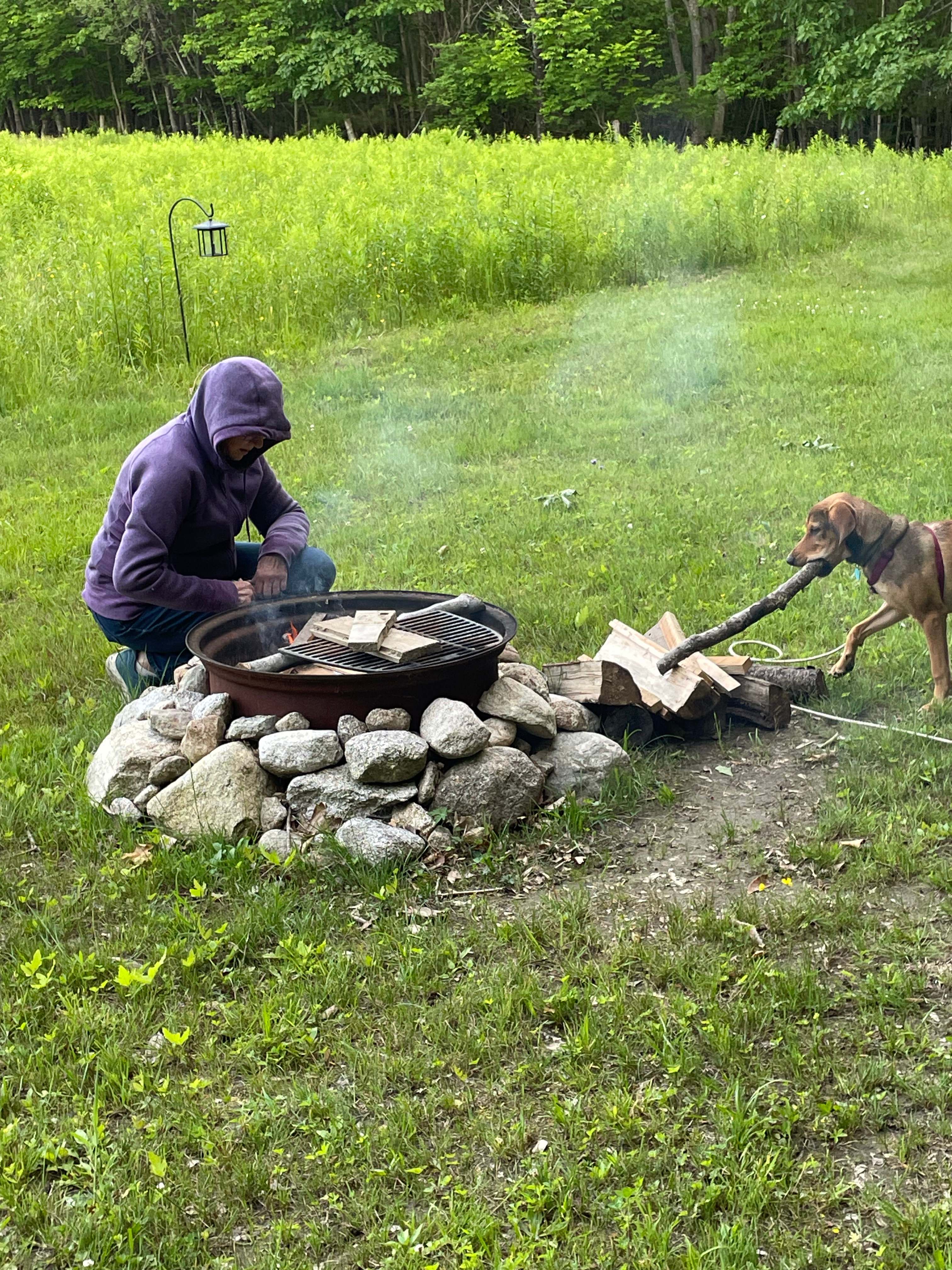 Bandit helping with building the fire