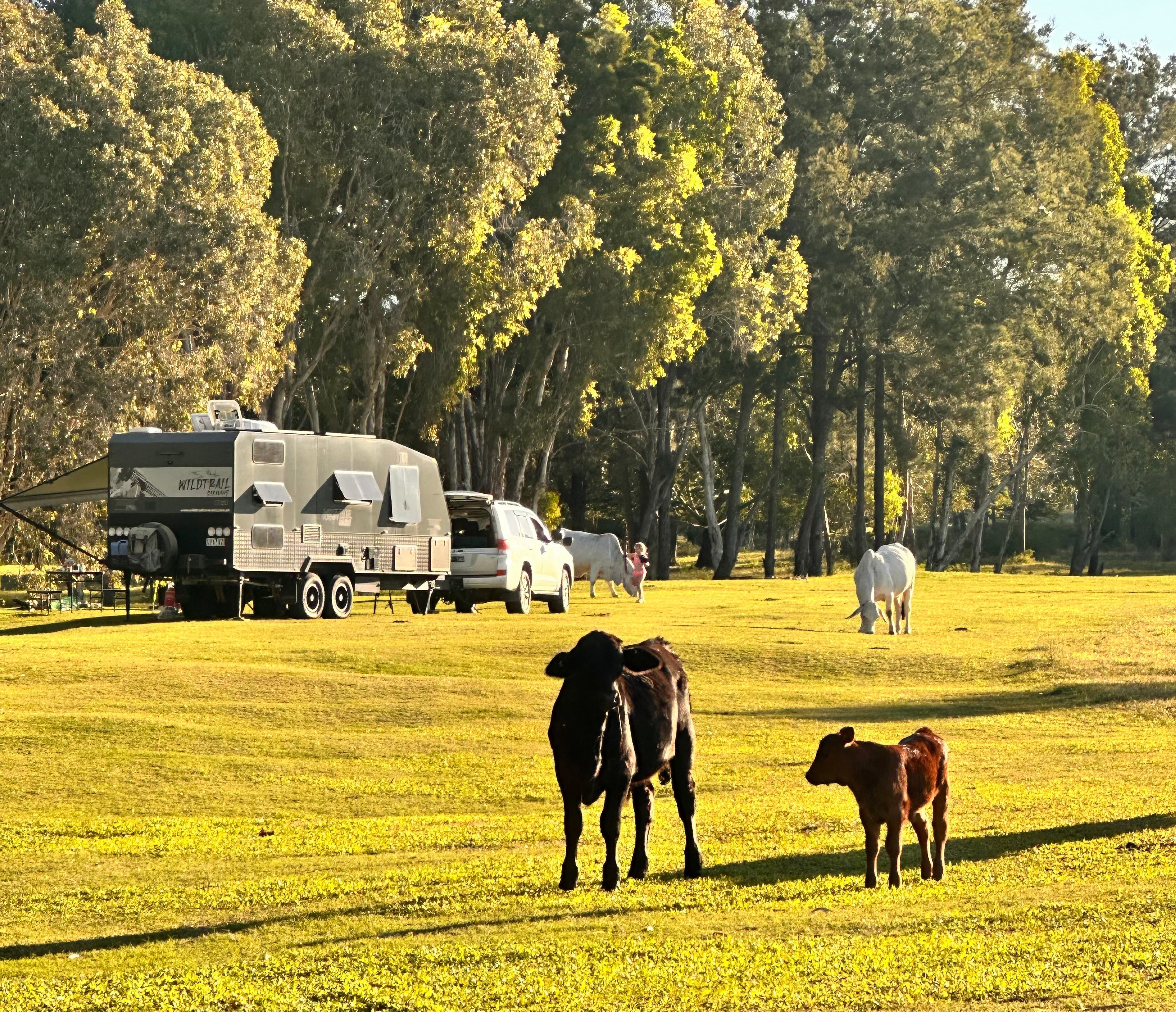 Ilbilbie Station Farm Stay