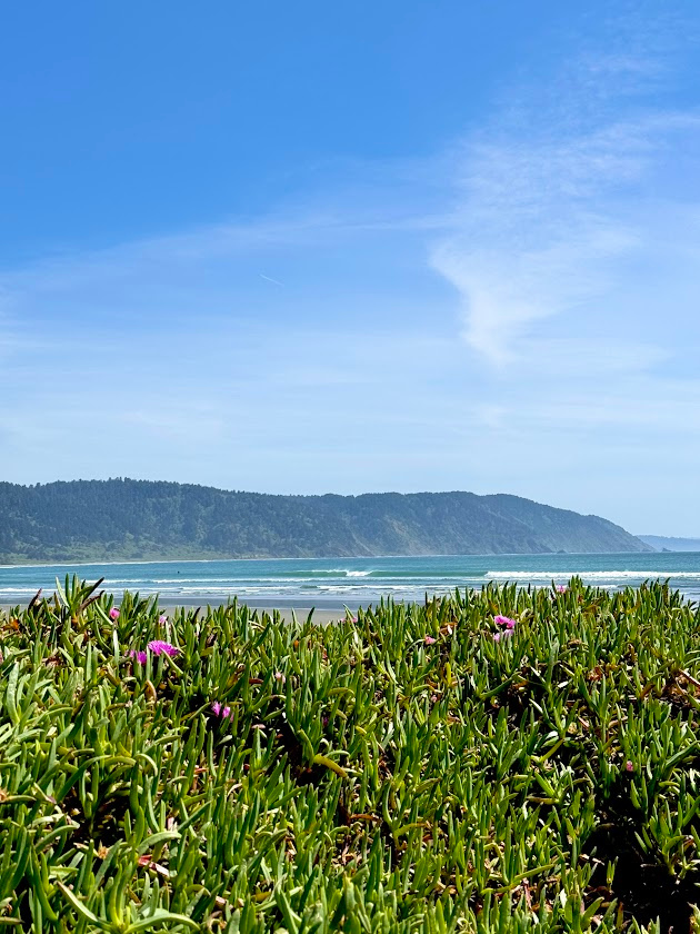 Redwood Harbor Village
