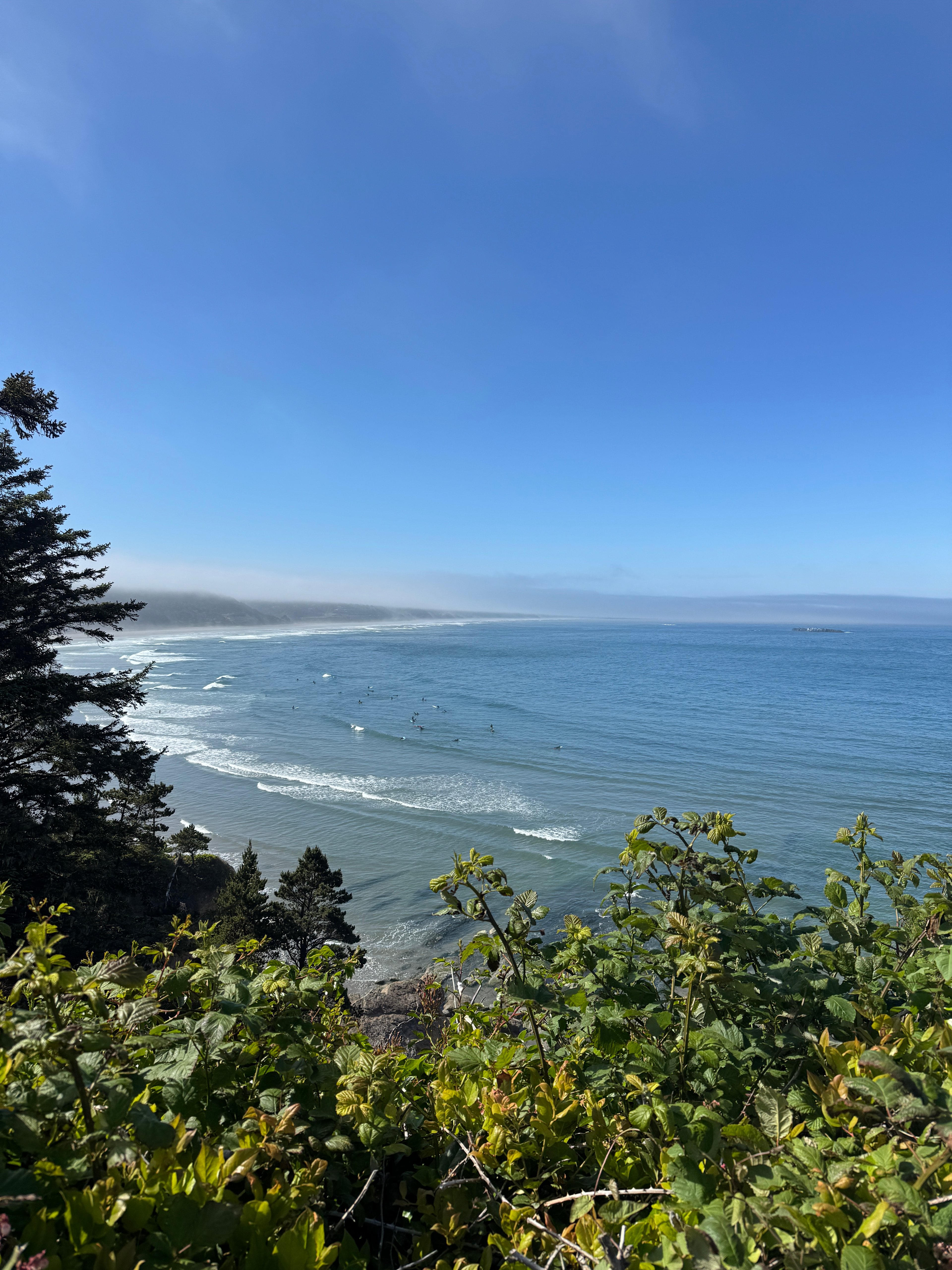Dope Creek Surf Camp (Otter Rock)