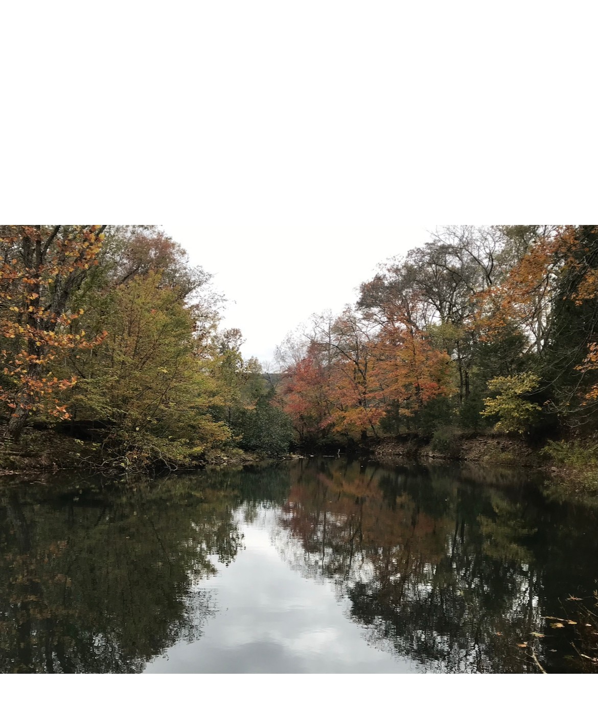 Archy Creek Ranch