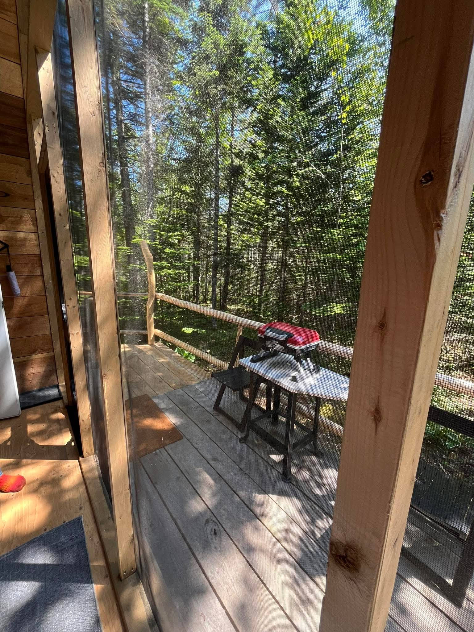 Moss Cottage Forest Glamping