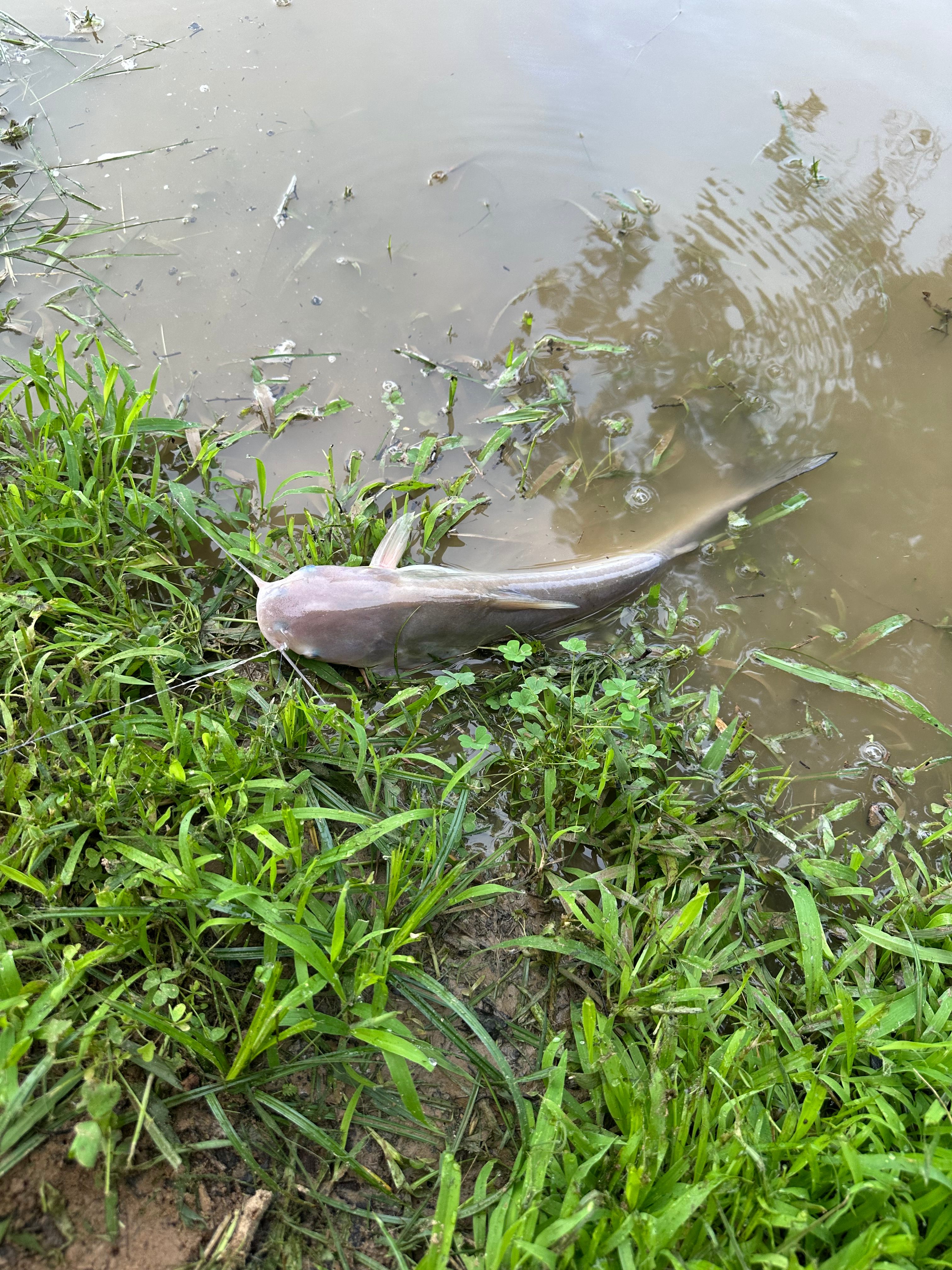 Sandy Bottoms River Company