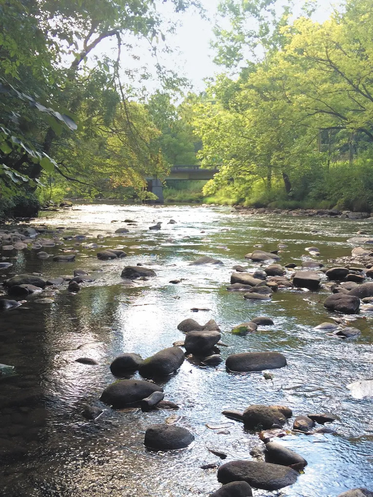 Peaceful Cove Campground