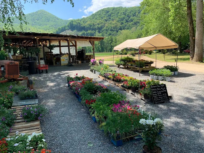 Tuckaseegee RV Resort
